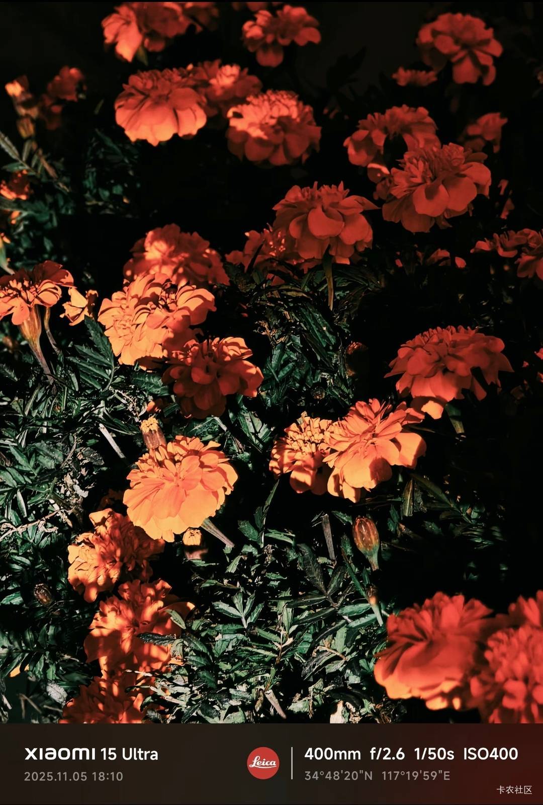 有没有当摄影师的天赋老哥们？

13 / 作者:我爱按摩 / 