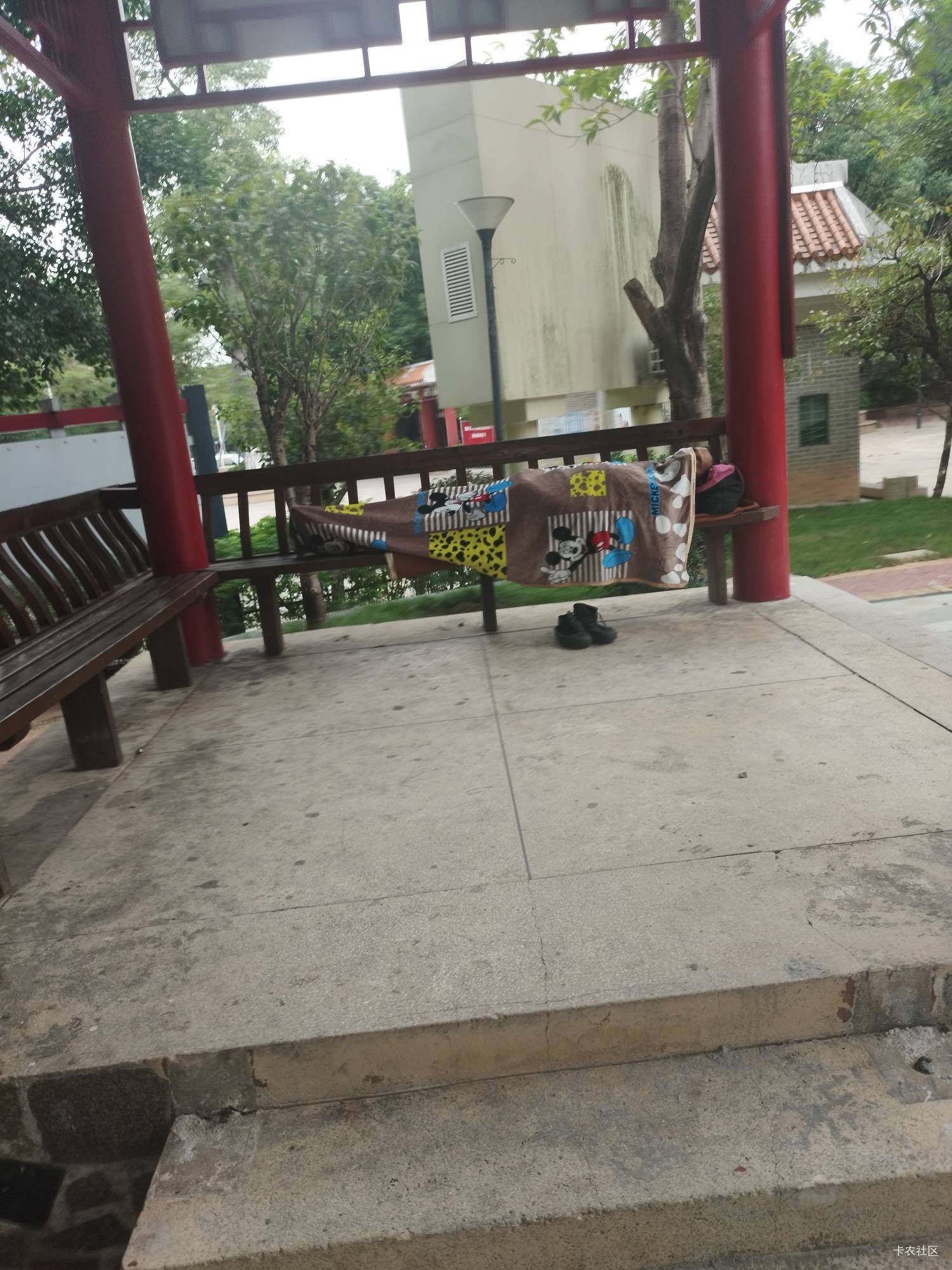 东莞的公园一年四季都不缺挂壁仔，老哥起床申请毛了

61 / 作者:好多毛 / 