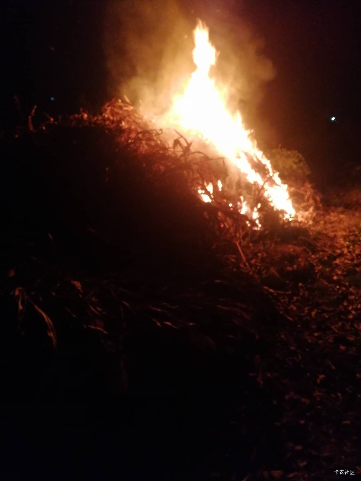 老哥们，我猛不猛，不知道啥情况的看我上一个帖子



35 / 作者:葫芦岛第一盗号王 / 