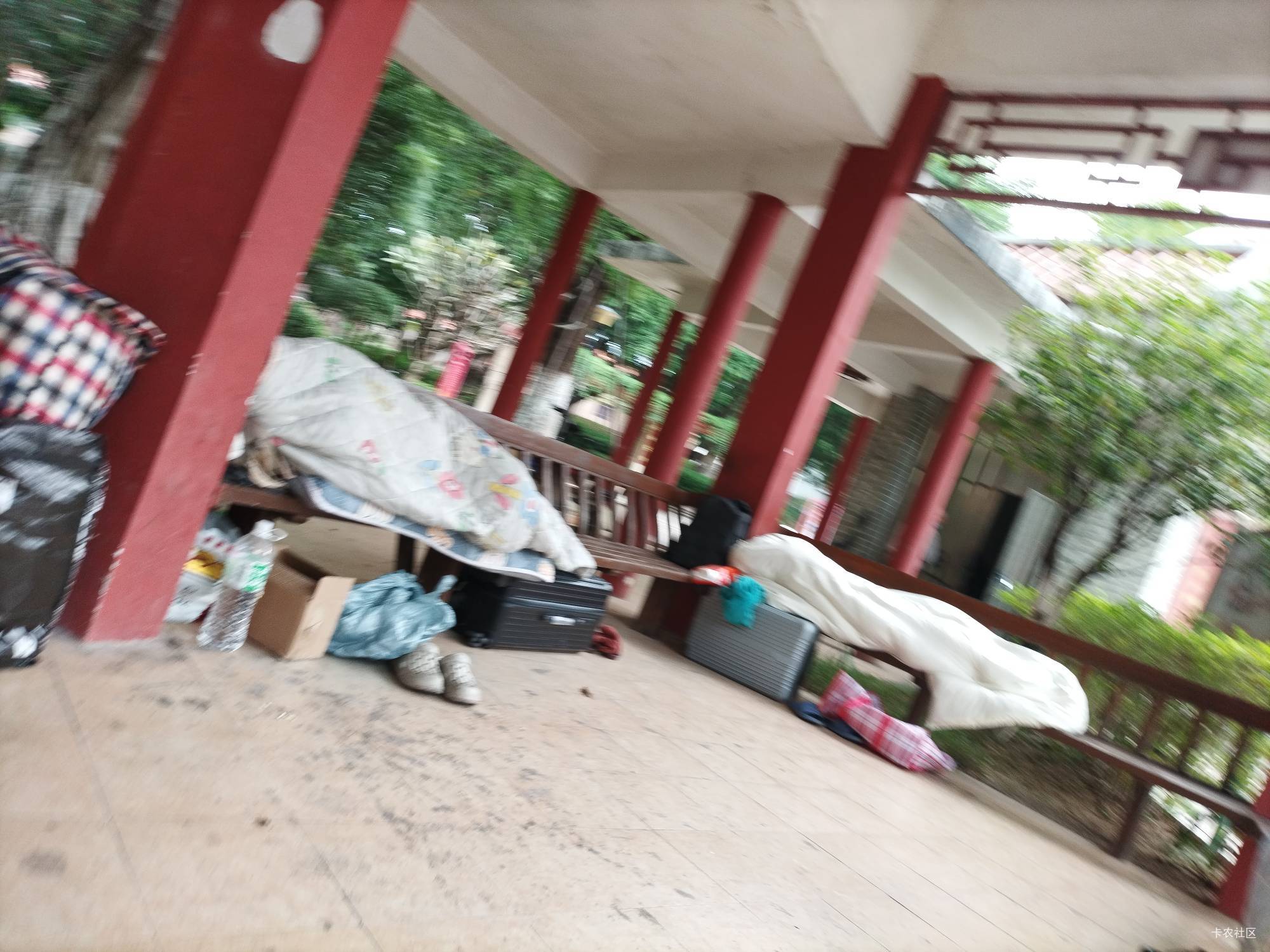 东莞公园都睡的满满的，没位置了

84 / 作者:好多毛 / 