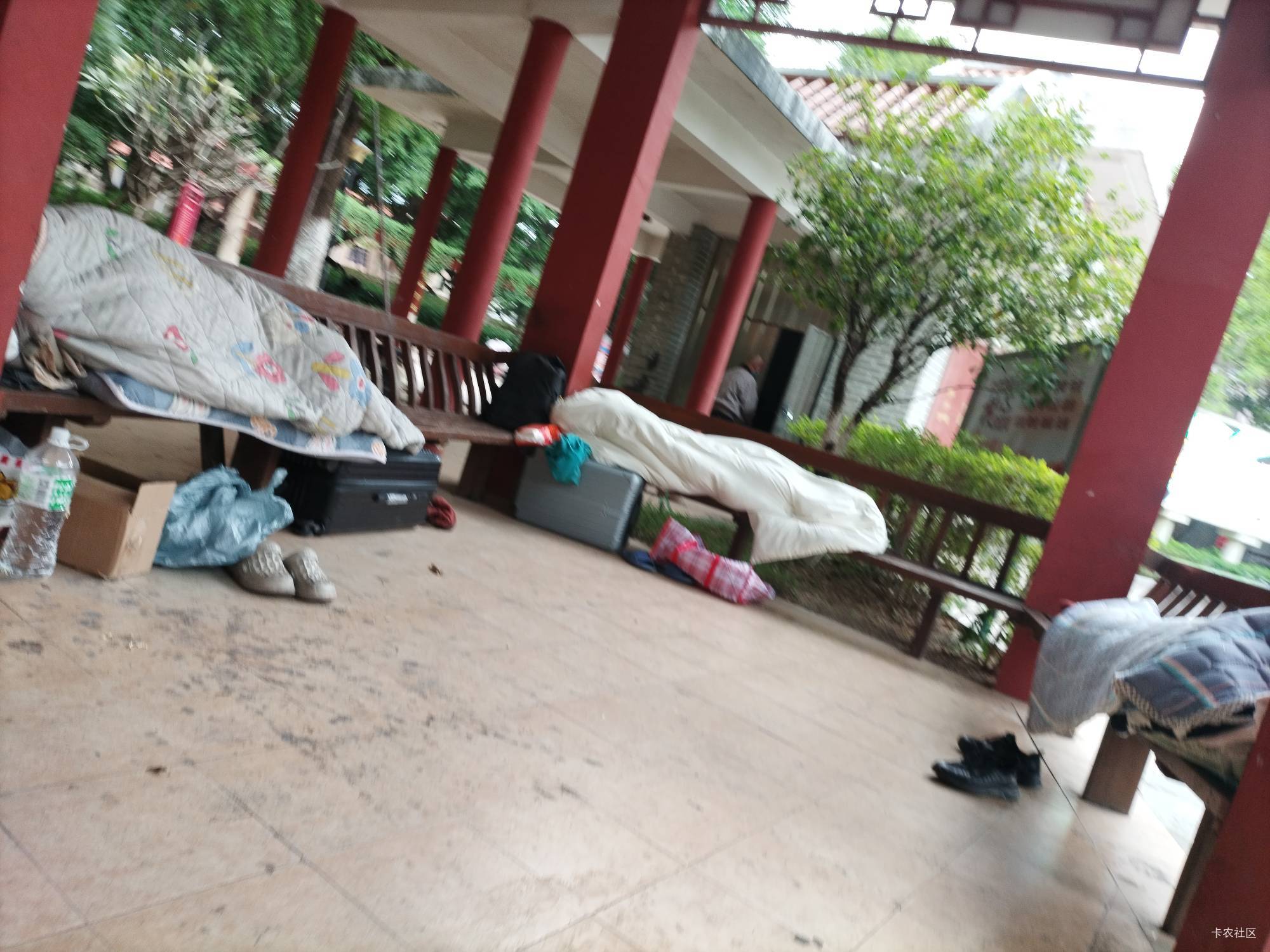 东莞公园都睡的满满的，没位置了

51 / 作者:好多毛 / 