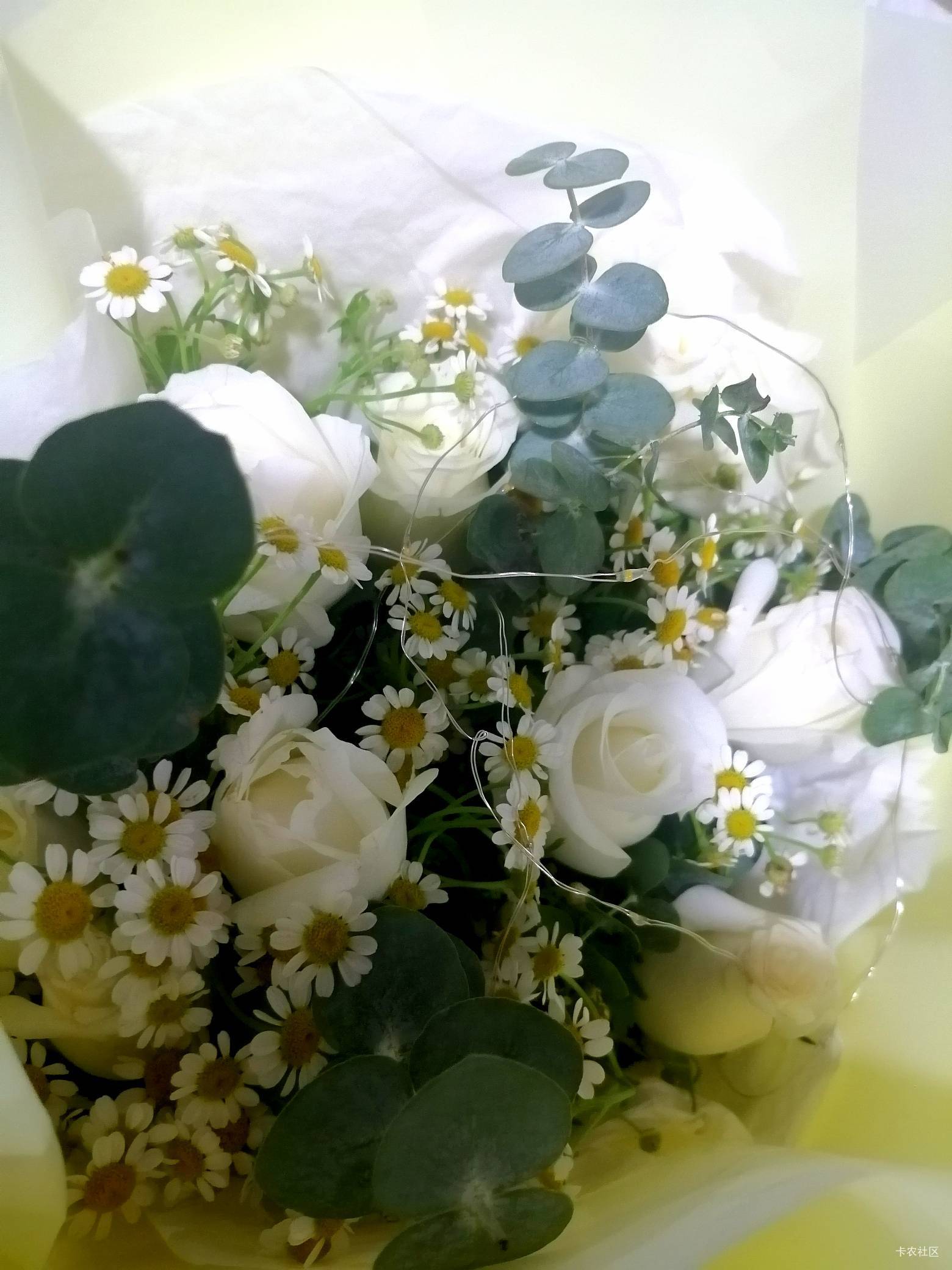 涛涛，刚刚吃了馒头和豆角，我这一生最幸

福的时光就是和你在一起擼毛，那个时候我

79 / 作者:驴背上的拿破仑 / 