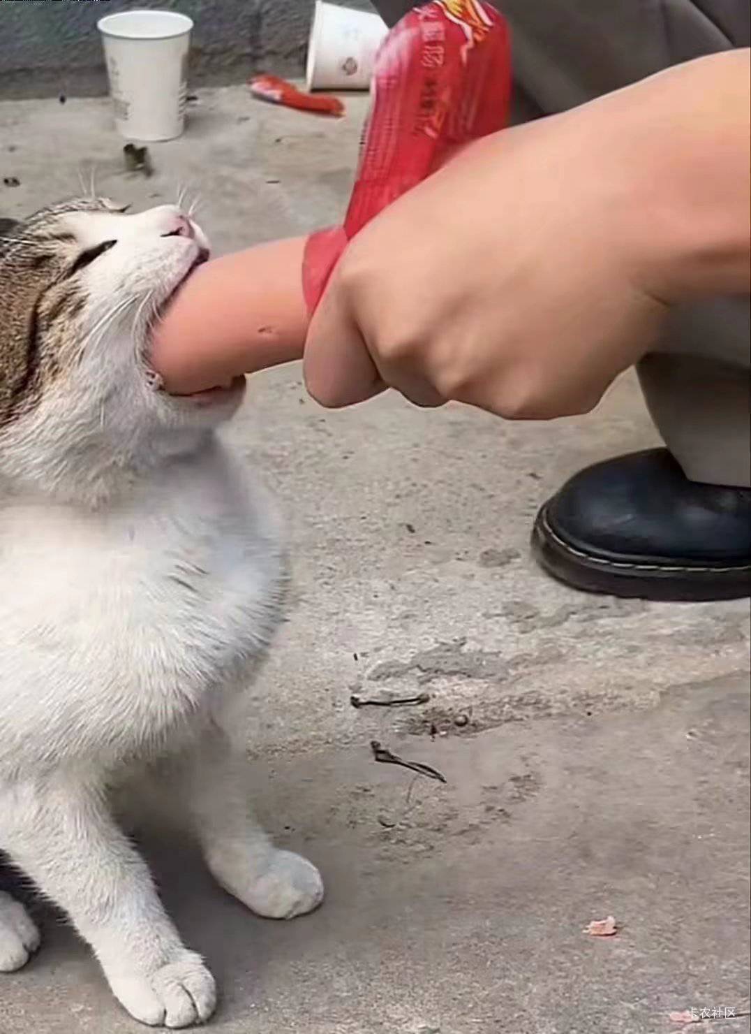 既然你不要脸，我也不要脸了，云南也就才这大点

事情是这样2025年11月17日我的车被朋7 / 作者:祖传手艺活 / 