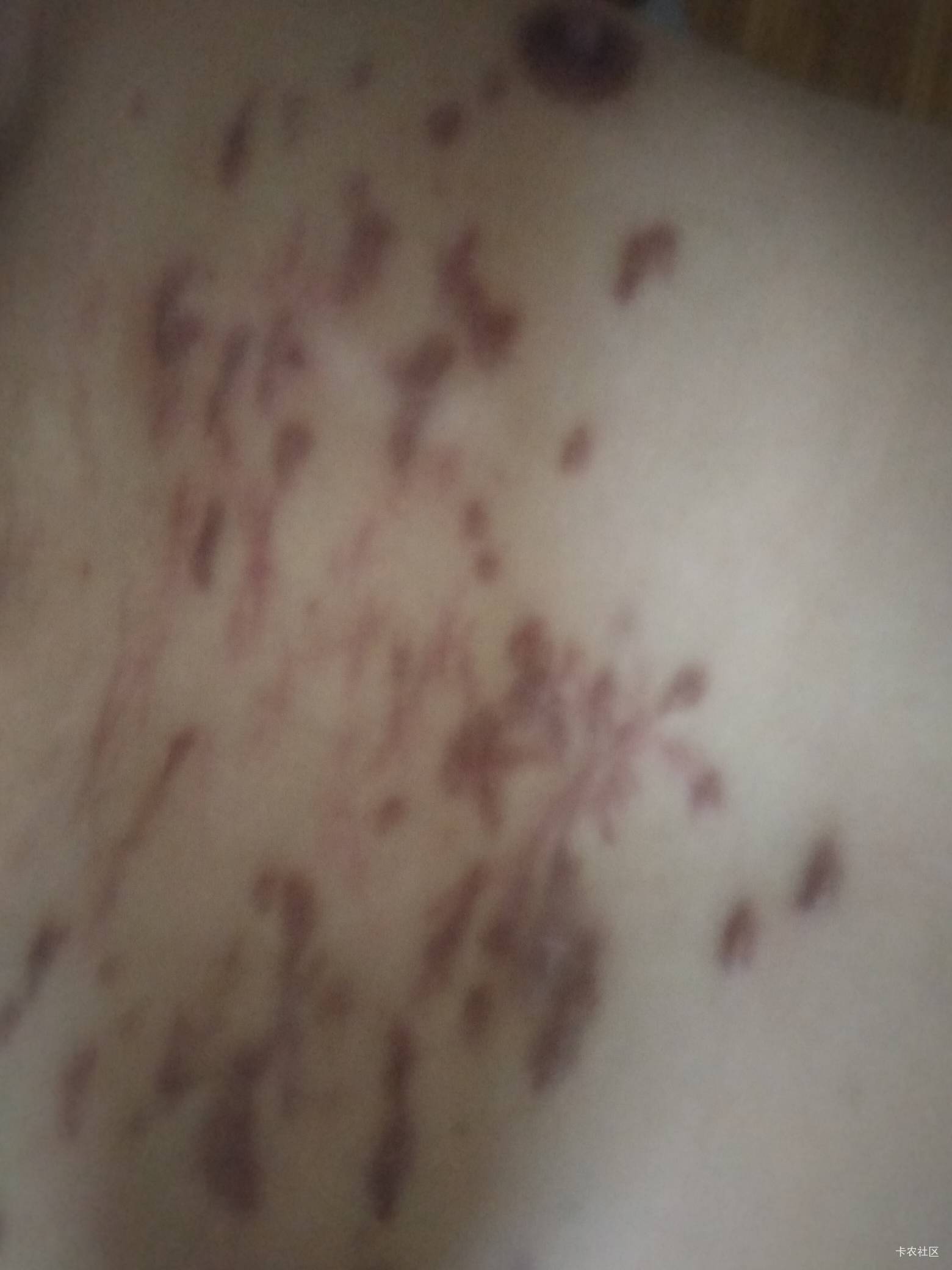 老哥们，给你们加点餐



31 / 作者:卡农第一yy仔 / 