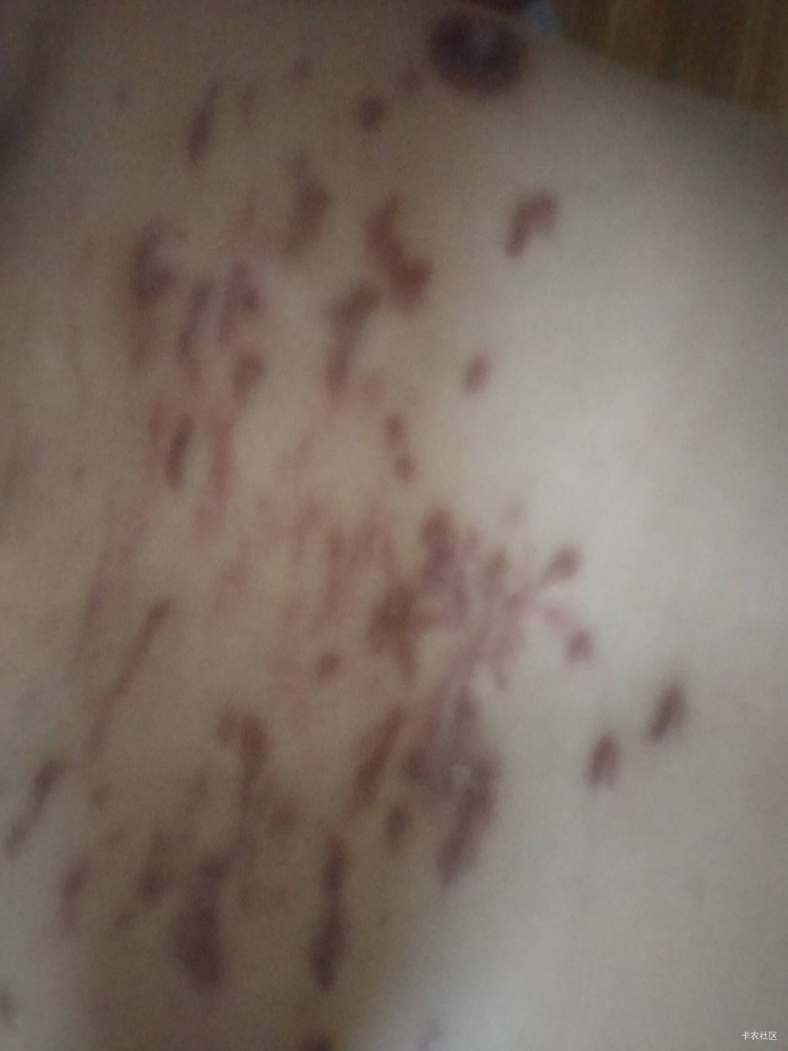 老哥们，给你们加点餐



22 / 作者:卡农第一yy仔 / 