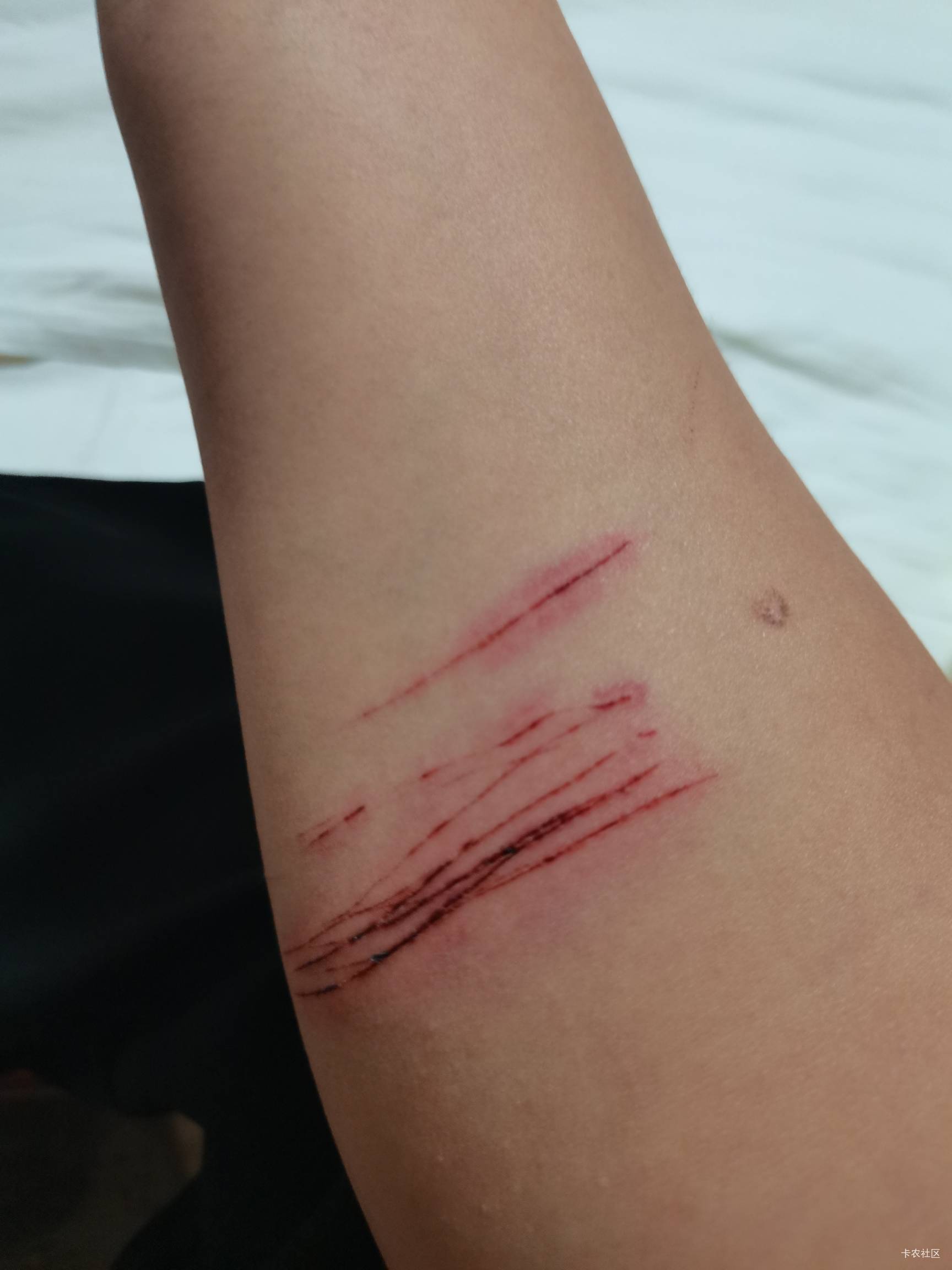 老哥们分手了喝了三天连着 无论怎么挽回都没有跟仇人一样可是我们原先也爱过啊

57 / 作者:达不溜。 / 