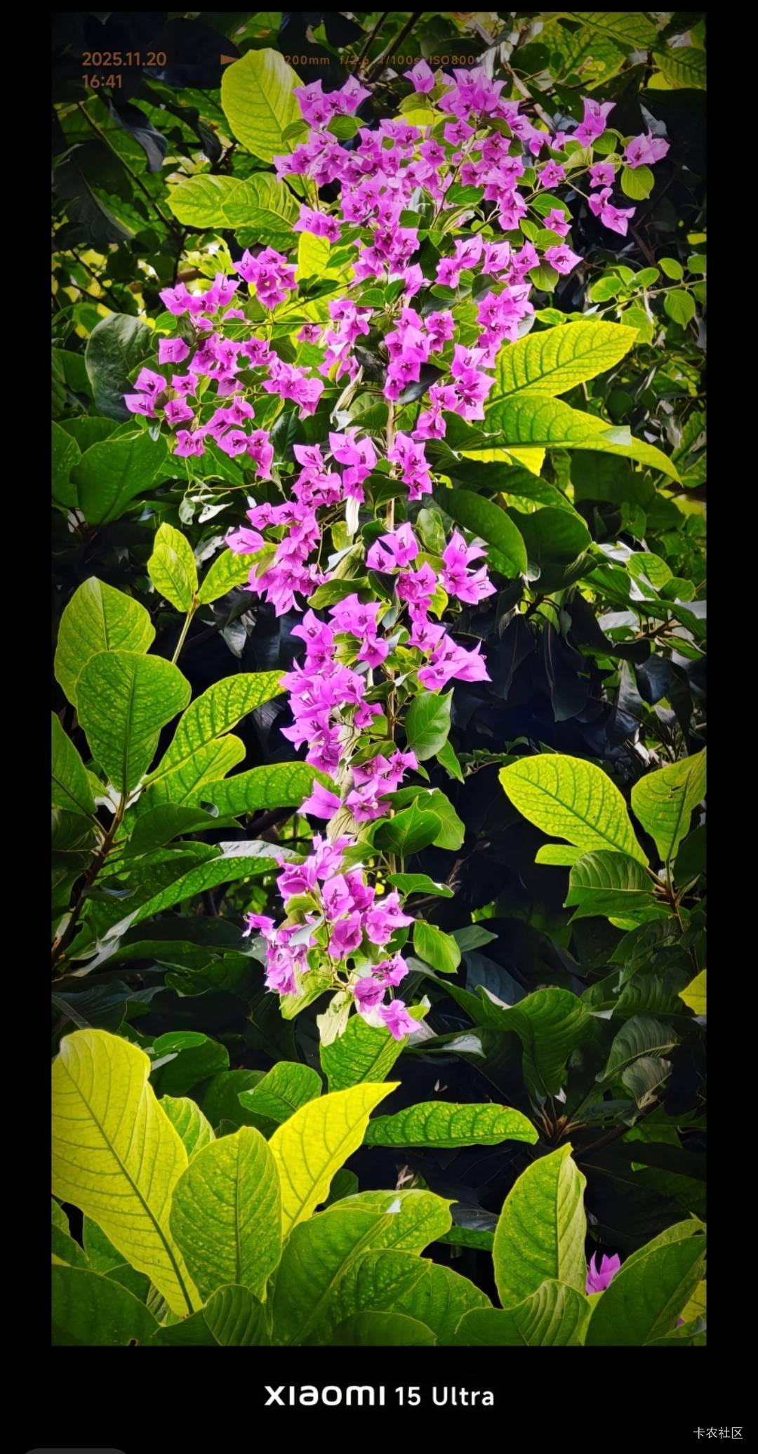 明天去上海给小仙女拍照


54 / 作者:我爱按摩 / 