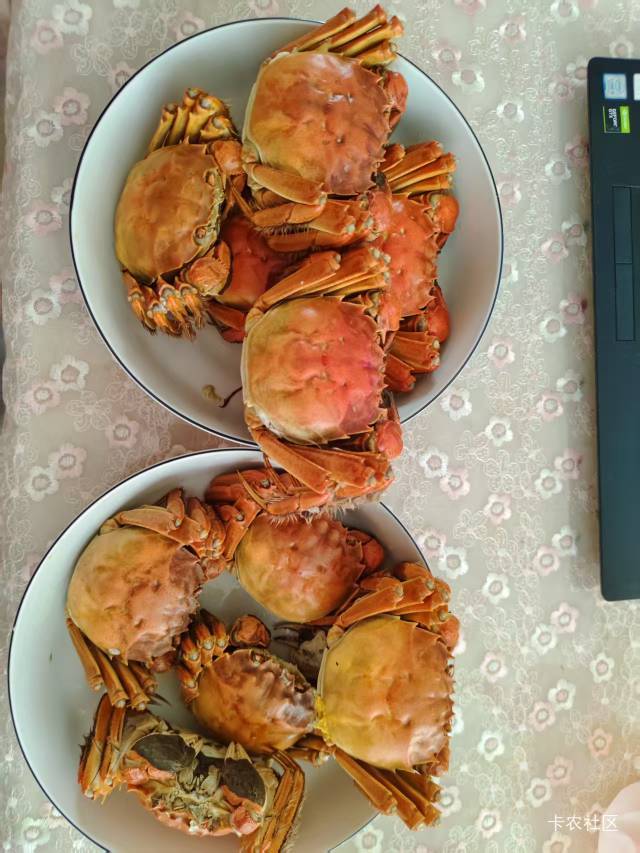 老哥们，今早吃个豪横的


33 / 作者:一场本来 / 