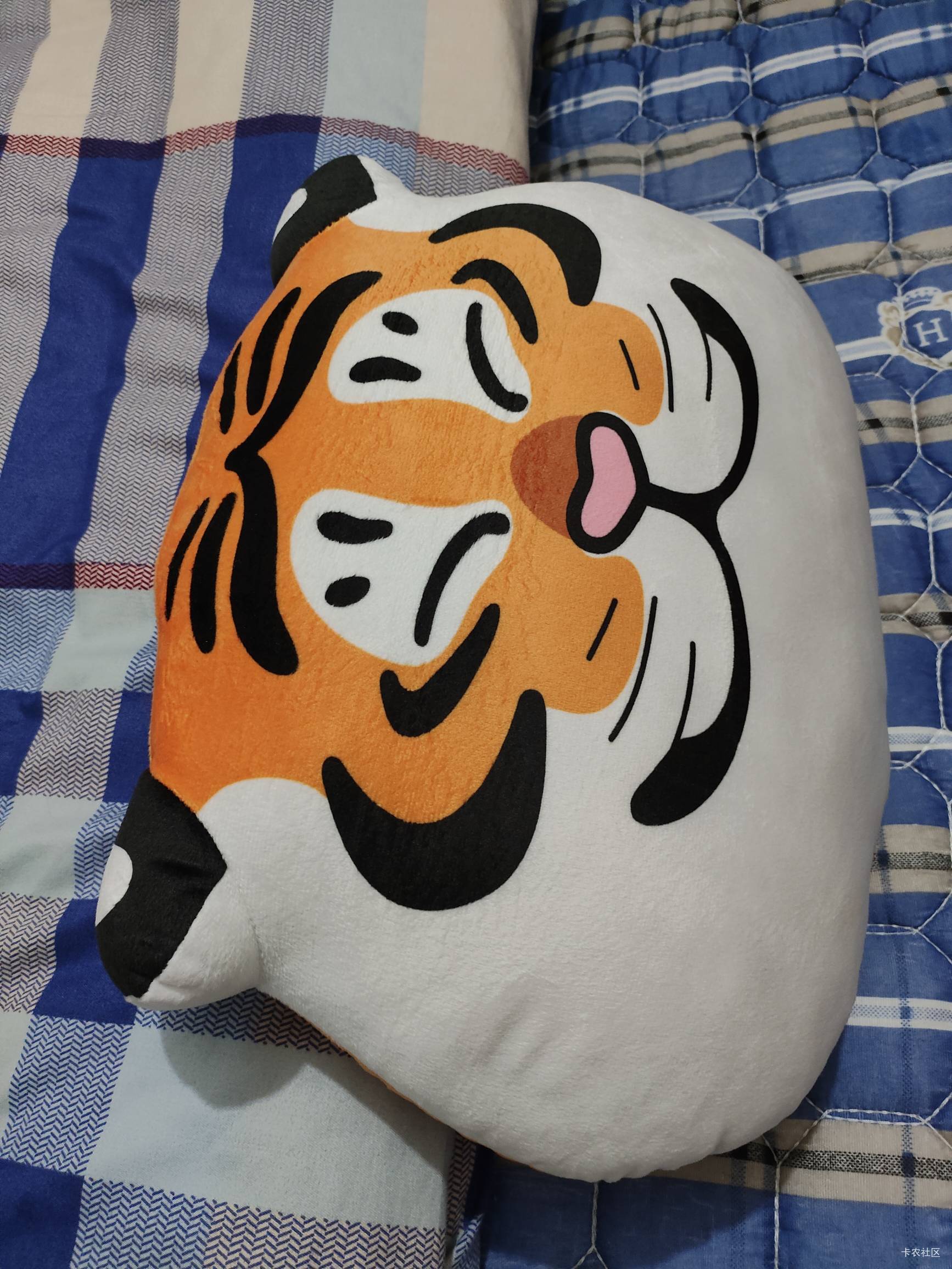 这个奖品几号刷新，一直想换个抱枕换不到

93 / 作者:圭円 / 