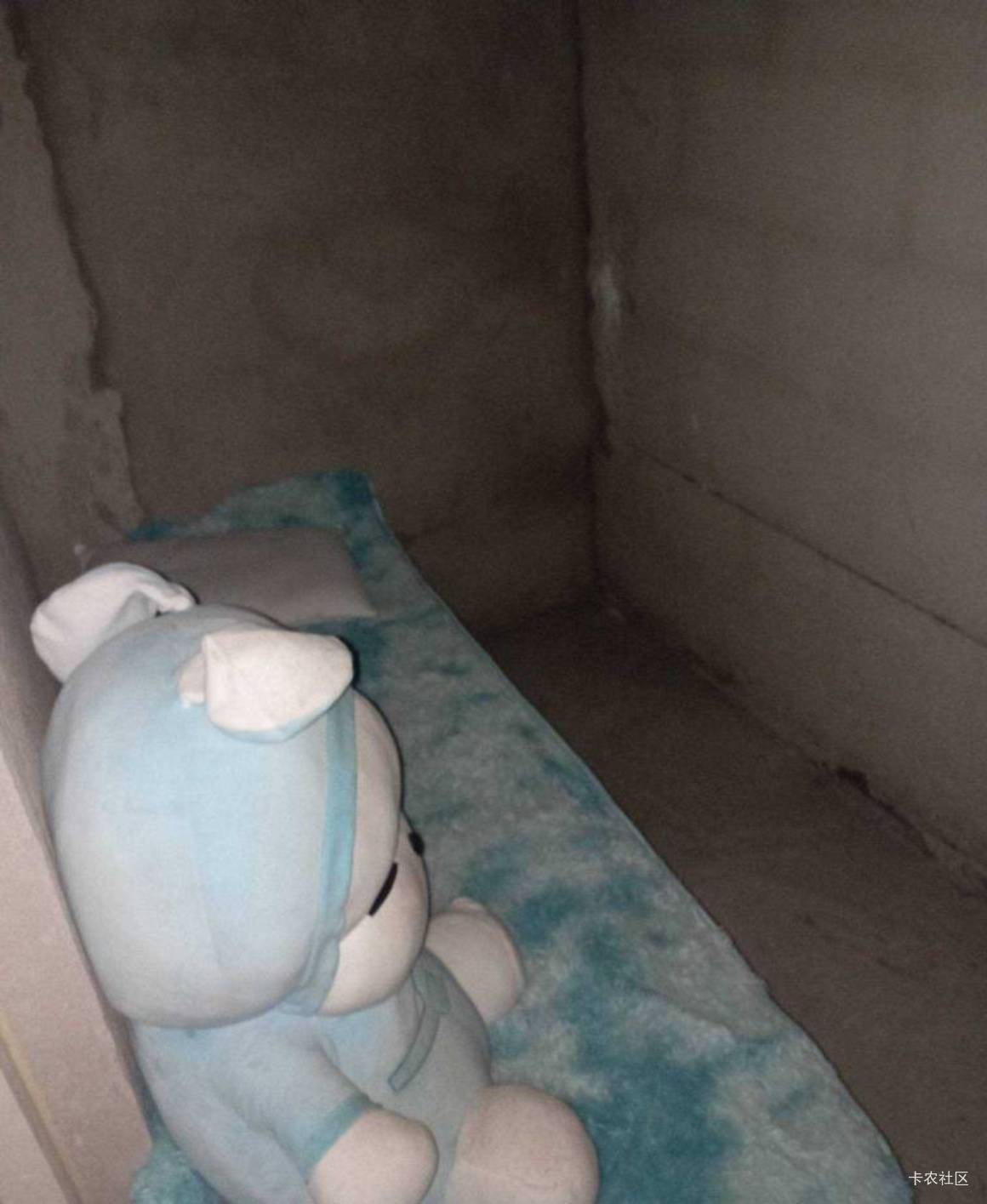 太冷了，冻嘎了！出去跑了一单果断回桥洞继续躺尸…

76 / 作者:广鸡周某人 / 