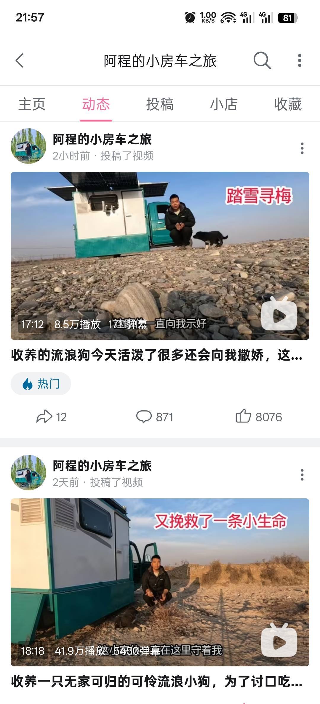 阿程又收养流浪狗了，流量又爆火了

74 / 作者:神孙策 / 