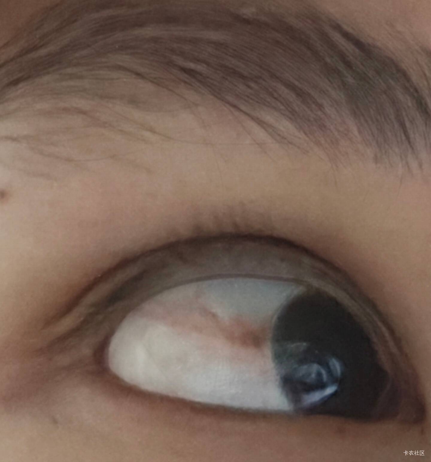 以前是黄的，现在暗红了都，咋办唉

51 / 作者:暖风归去 / 