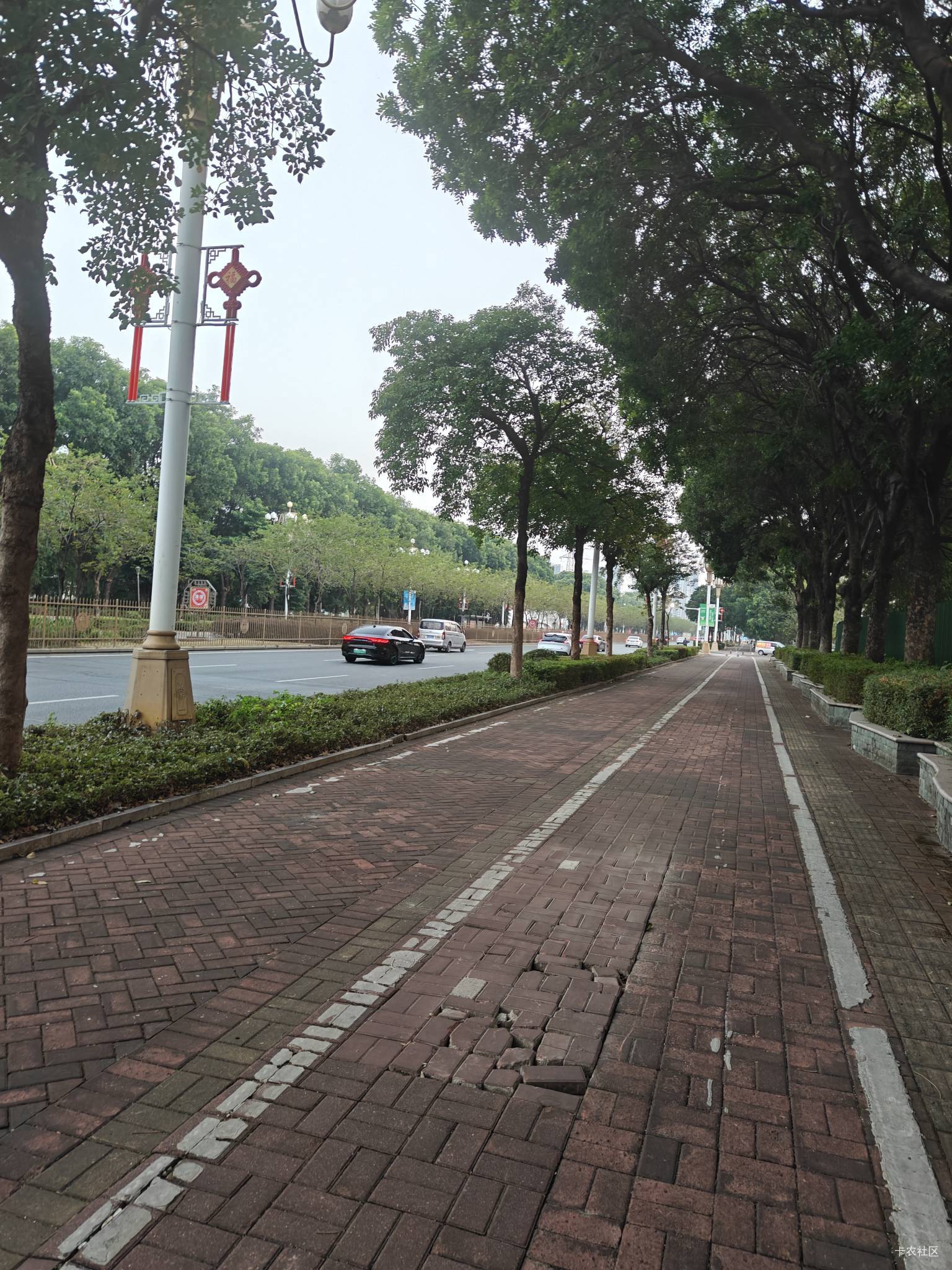 我对钱真没兴趣。

73 / 作者:独处此心光明。 / 