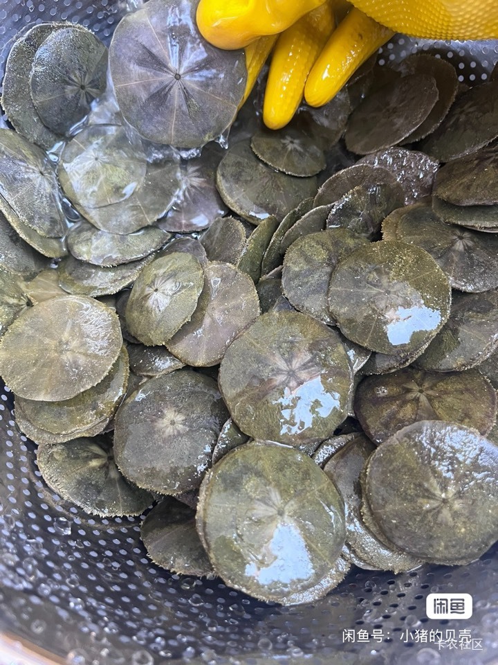 没钱花了，出点聪明

4 / 作者:予你iu / 