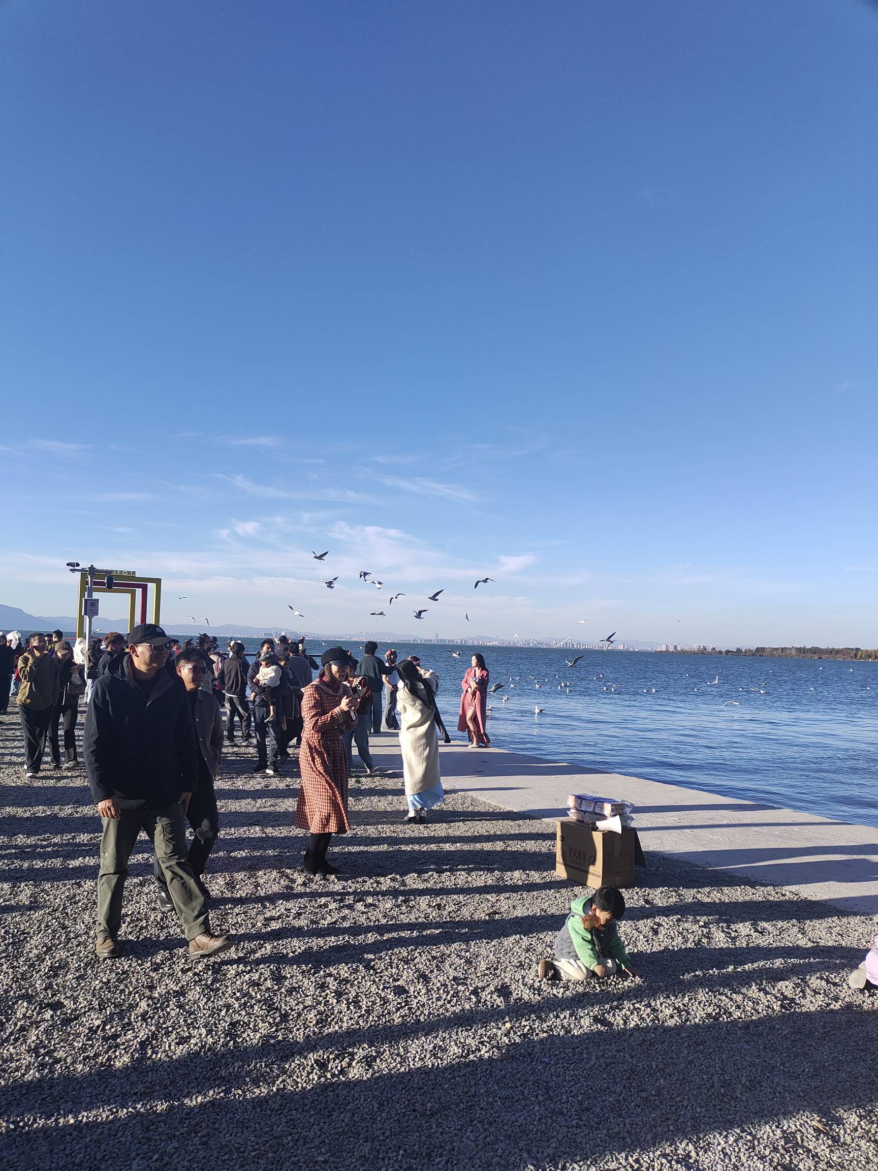 云南的冬天真舒服，天天阳光明媚，比重庆好多了



25 / 作者:菲菲飞呀飞 / 