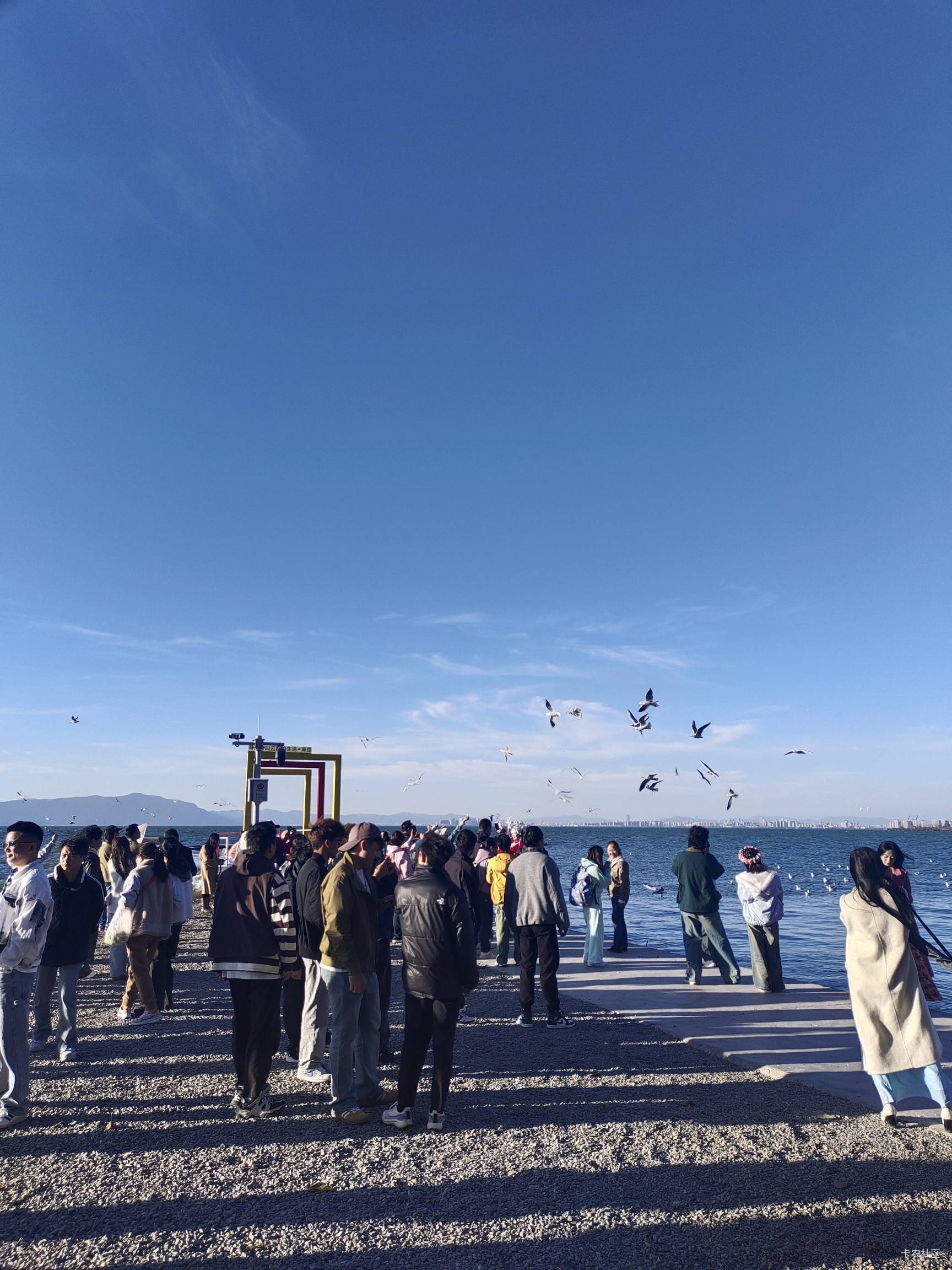 云南的冬天真舒服，天天阳光明媚，比重庆好多了



92 / 作者:菲菲飞呀飞 / 