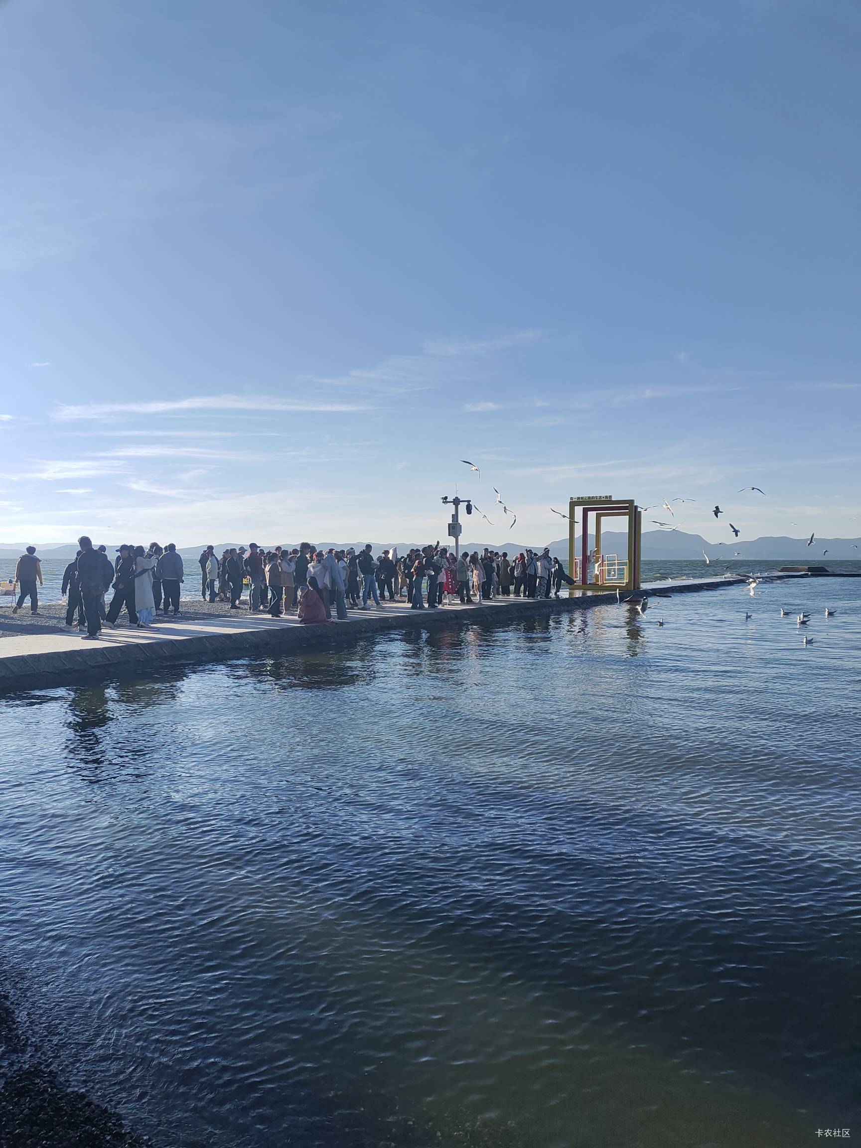 云南的冬天真舒服，天天阳光明媚，比重庆好多了



73 / 作者:菲菲飞呀飞 / 