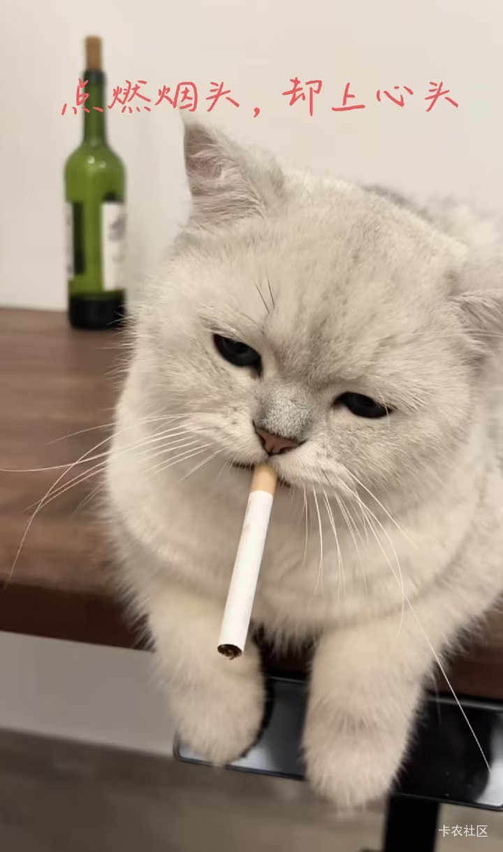 兄弟们，自从进了厂很久没来卡农了

95 / 作者:我默默不说话呢 / 