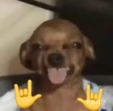 《体验生活罢了》




89 / 作者:喜欢悠哉独自在. / 