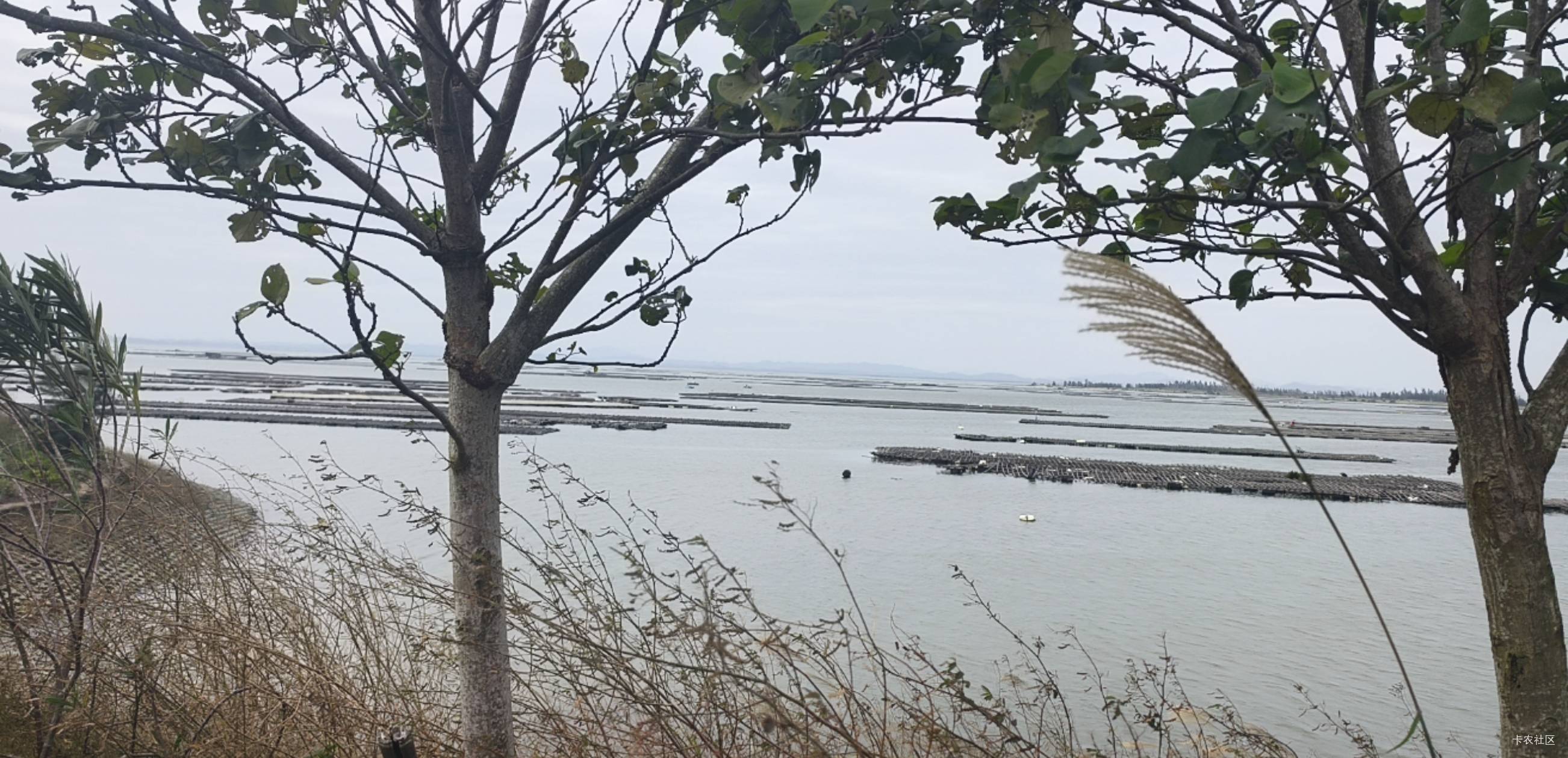 挂壁的日子，到处x溜达

94 / 作者:钟意ffds / 