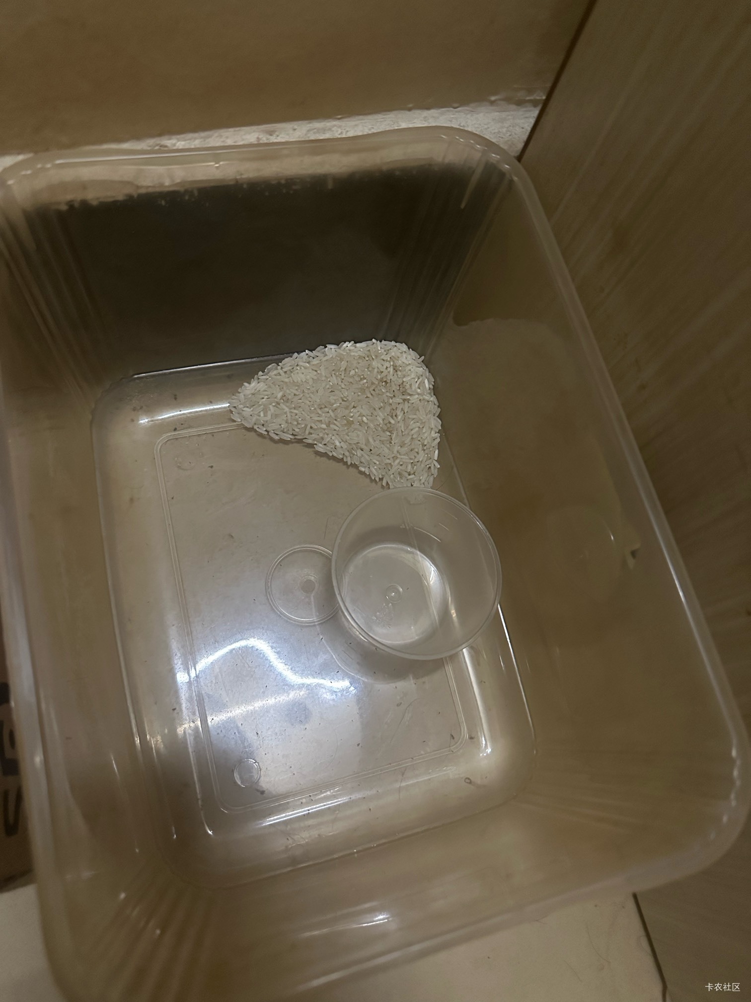 @素质低下 @圭円 @余生放浪 @神孙策 @大荒 老哥救我，生活难过，有没有日结或做到年底75 / 作者:初心ic / 