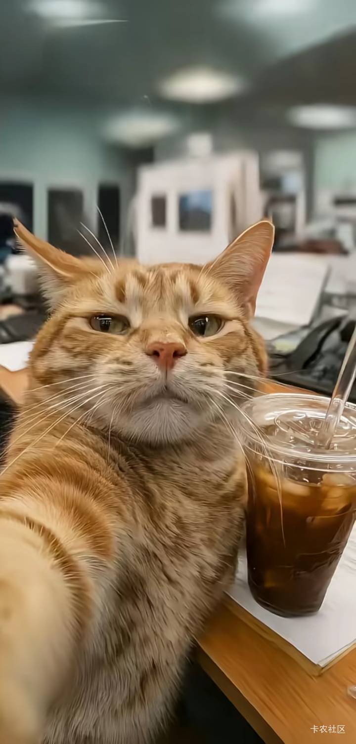 老哥们，我女朋友，就开了一个京东交行数币，还有什么银行数币有毛吗，新号

64 / 作者:青咽 / 