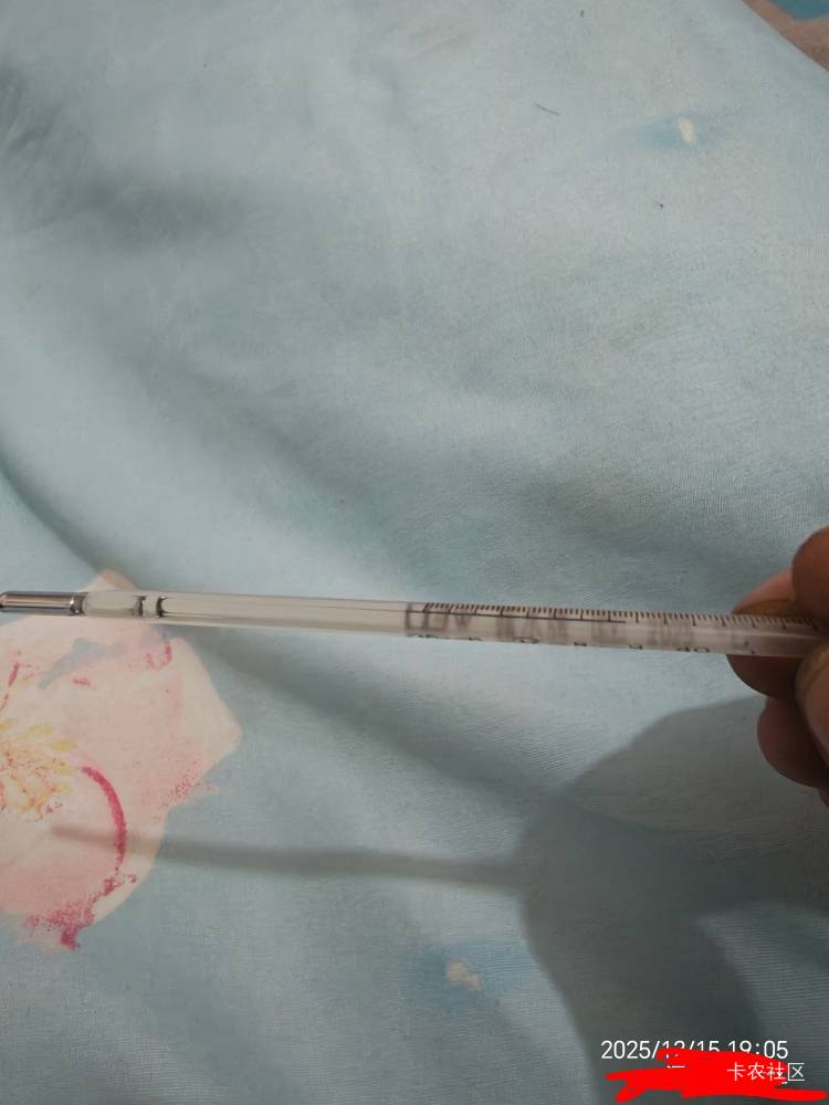 接上帖，睡一觉起来39℃

44 / 作者:你我已入账 / 