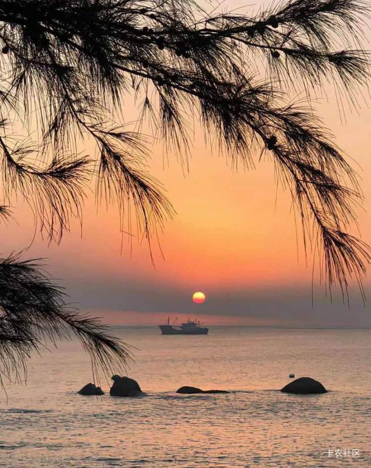 今天生日，哥哥们有没有什么生日毛

34 / 作者:时光·漫步 / 