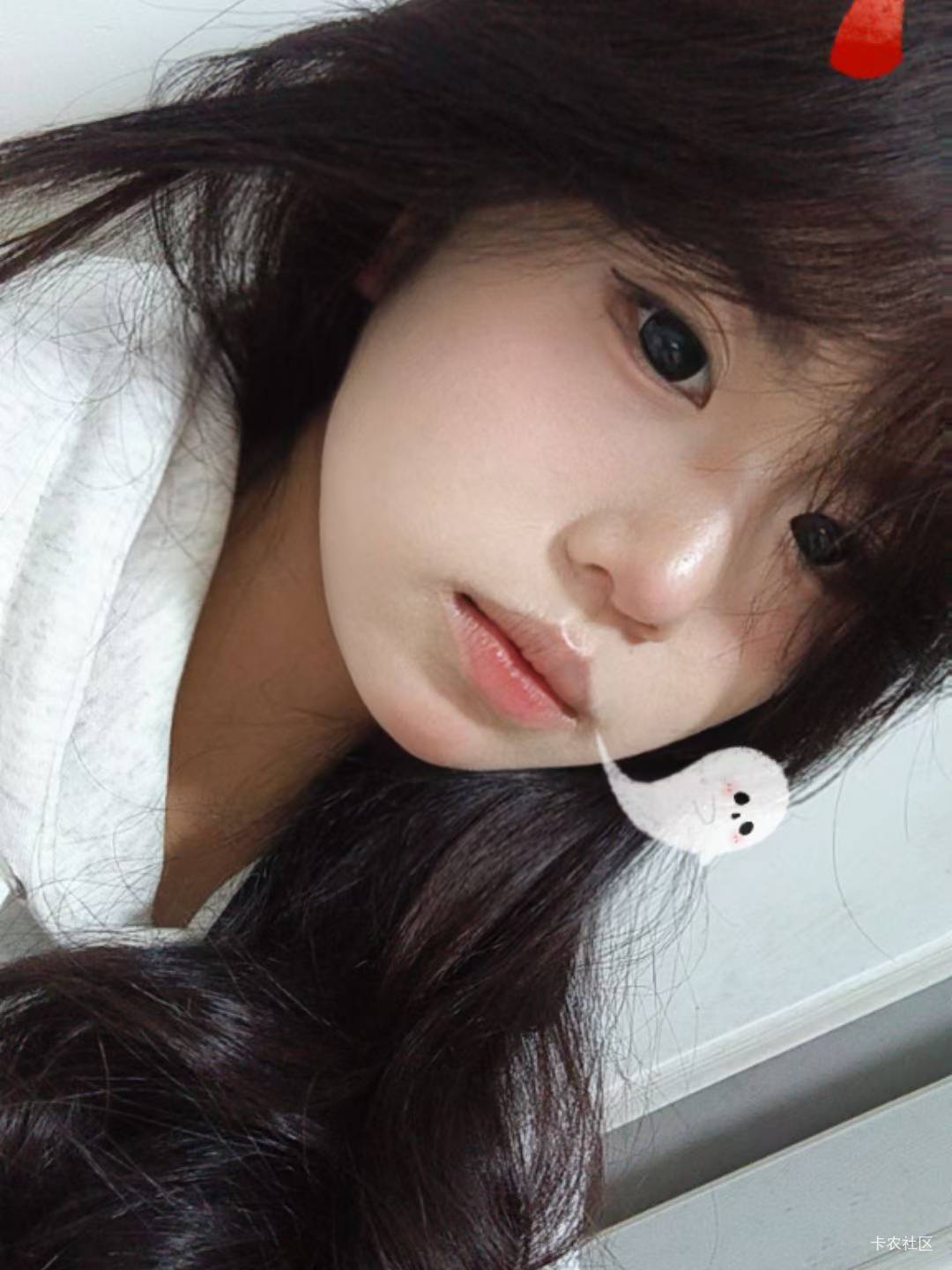 牛顿高斯比我提前出生，他们是笨鸟先飞还是避我锋芒

74 / 作者:林中静月下隐 / 