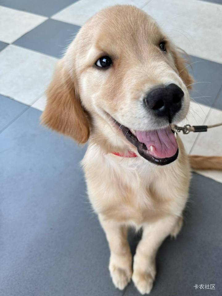 有没有懂车的老哥推荐一款200万以内20元左右的卫衣，我骑自行车要穿。要暖和的

15 / 作者:卡农陈平安 / 