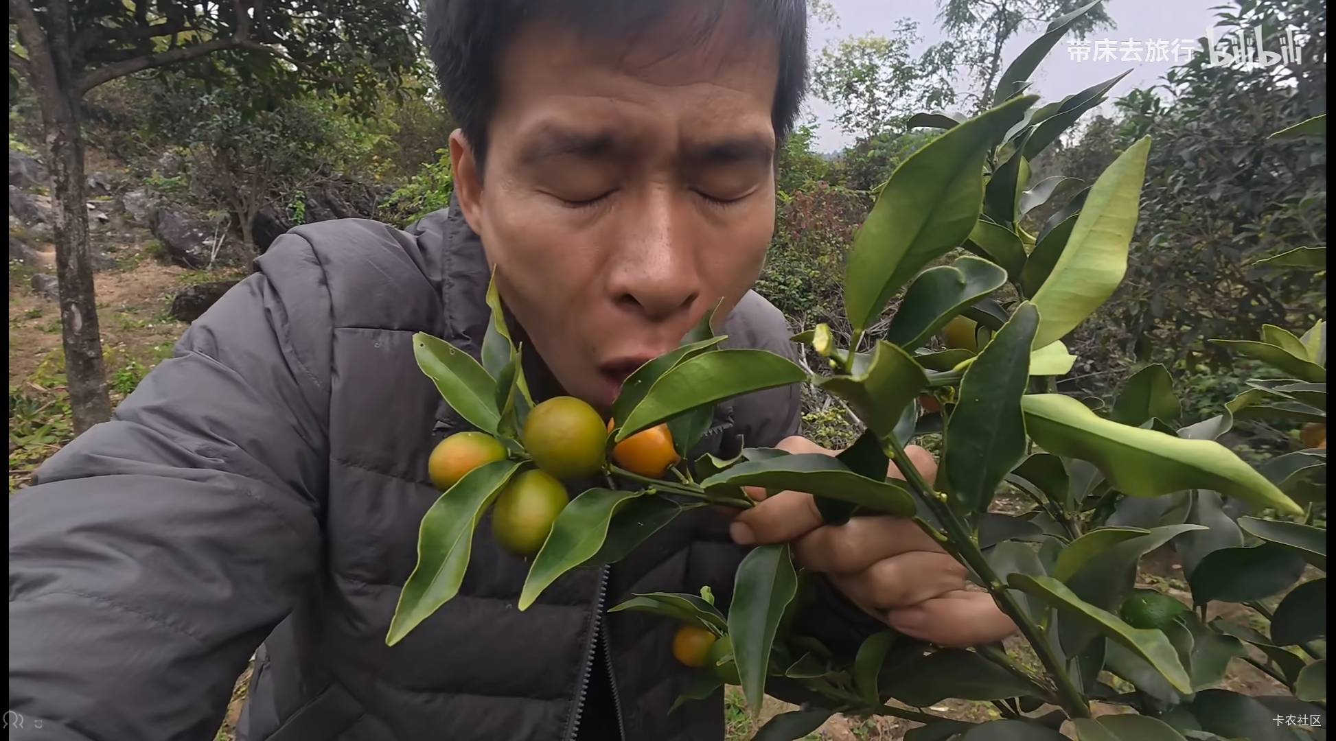 民生没任务，猪脚饭又吃不上了


15 / 作者:神孙策 / 