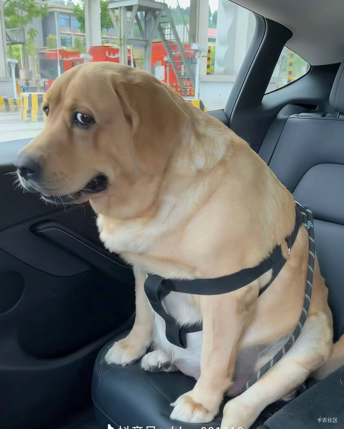 老哥们，你们一天消费多少钱平均，不算房租啥的，我很好奇

89 / 作者:吉吧 / 