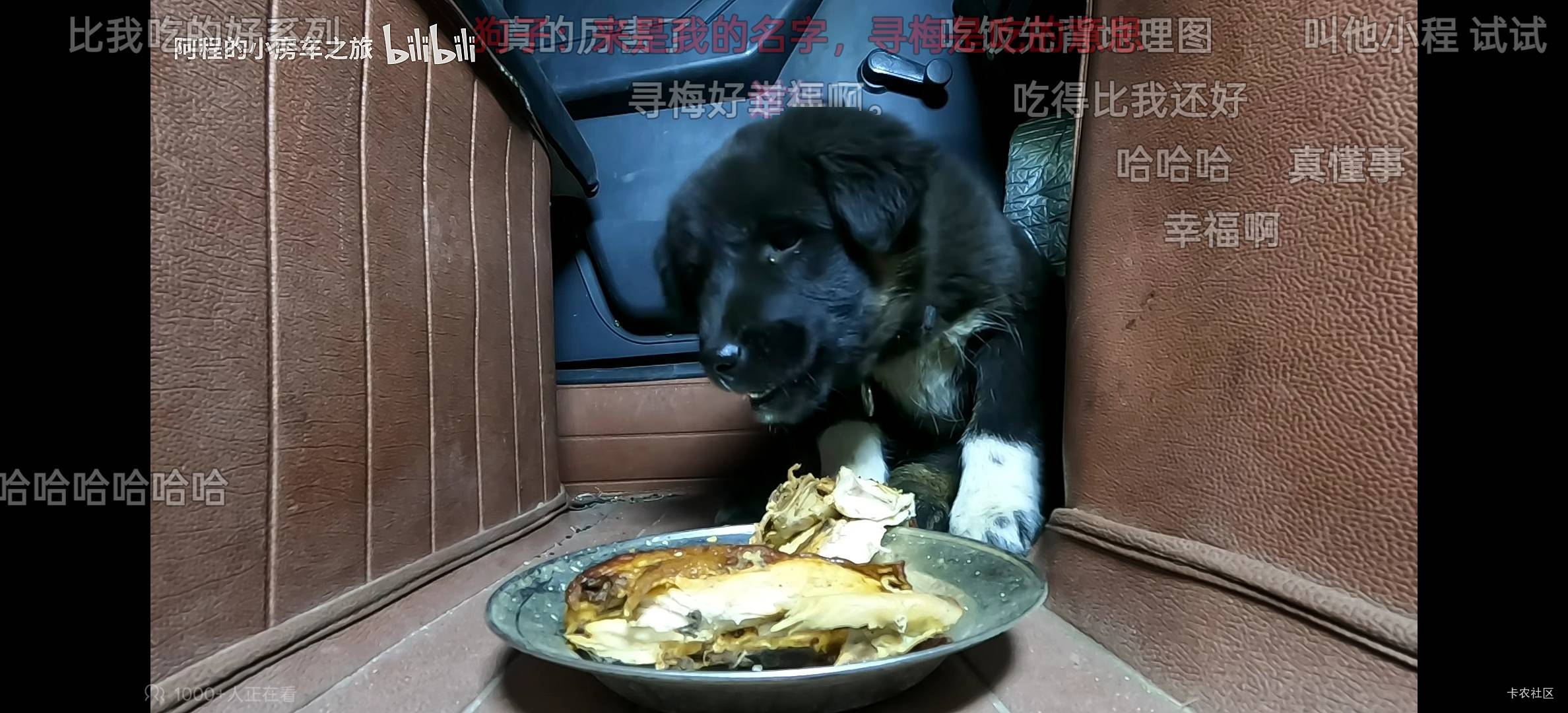 这狗子跟阿程之后三天撑九顿

90 / 作者:神孙策 / 