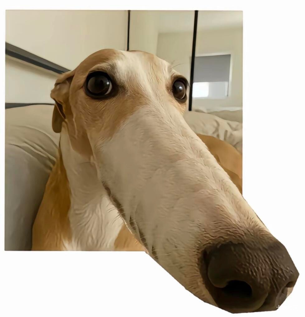 老哥们浦发一类好办吗
想注销掉电子二类办个一类

39 / 作者:呆囧木木 / 