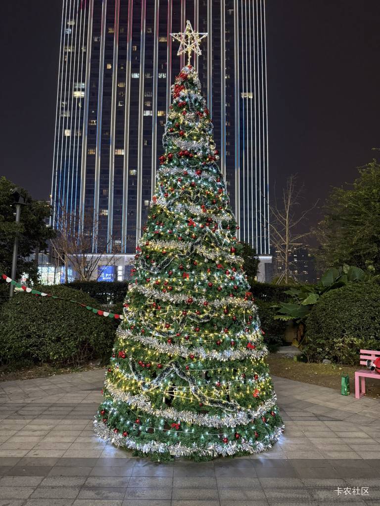 今天好多圣诞树啊。教堂门口，小区门口都是


68 / 作者:秋萤 / 