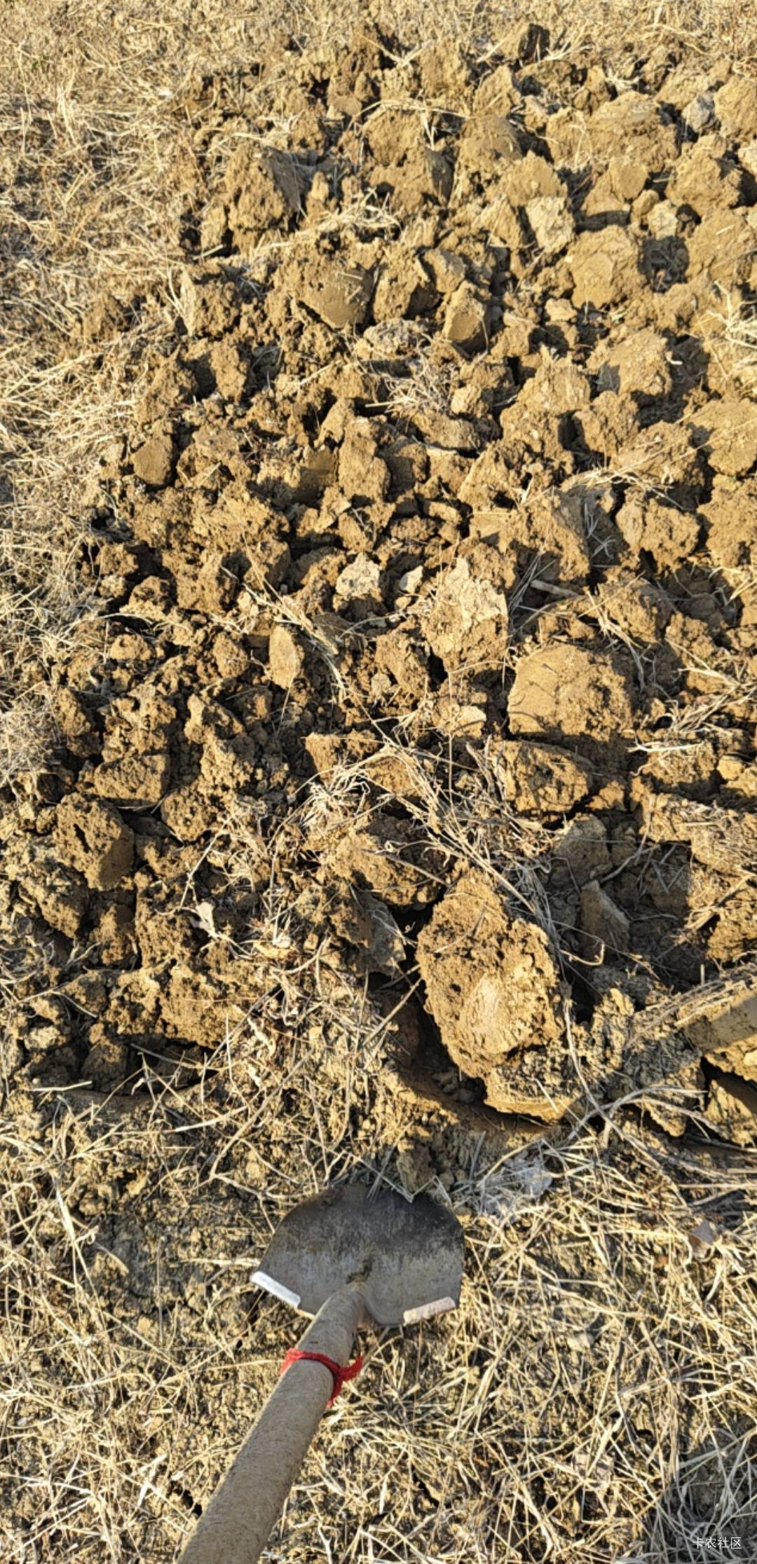 1

99 / 作者:芝士雪豹 / 