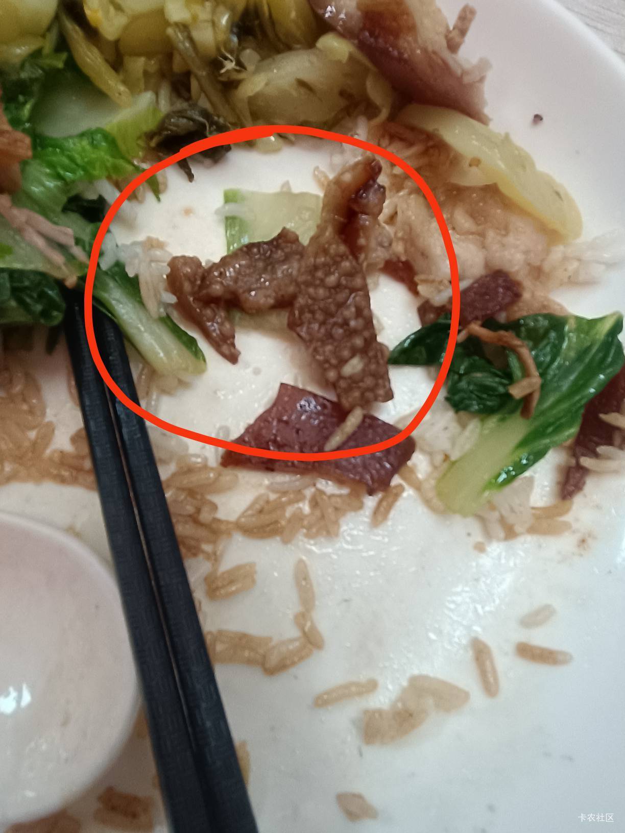 科技饭

80 / 作者:开弓没有回头箭 / 