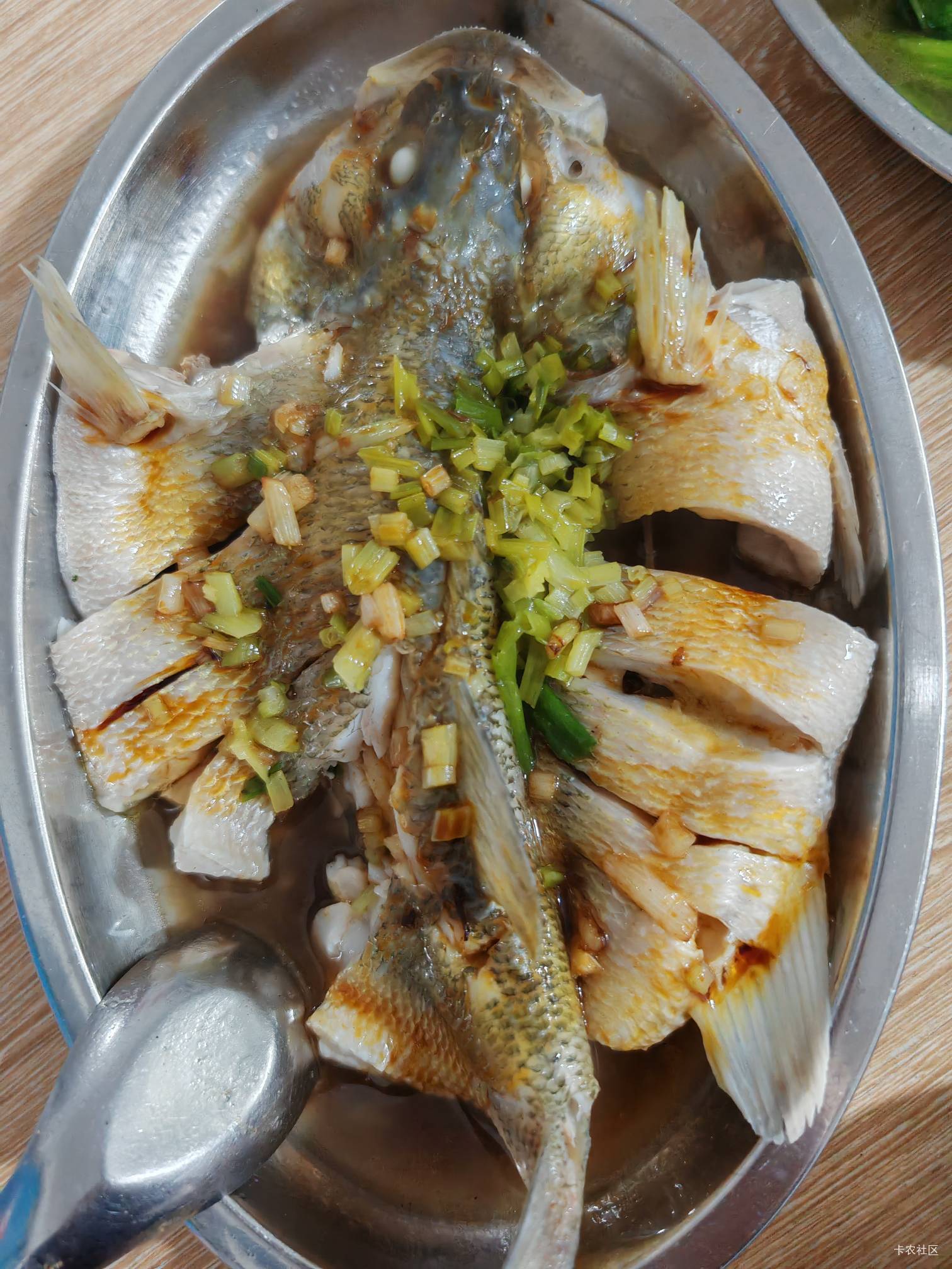 今天没有噜到羊毛，只能蒸条鲈鱼吃

46 / 作者:神孙策 / 