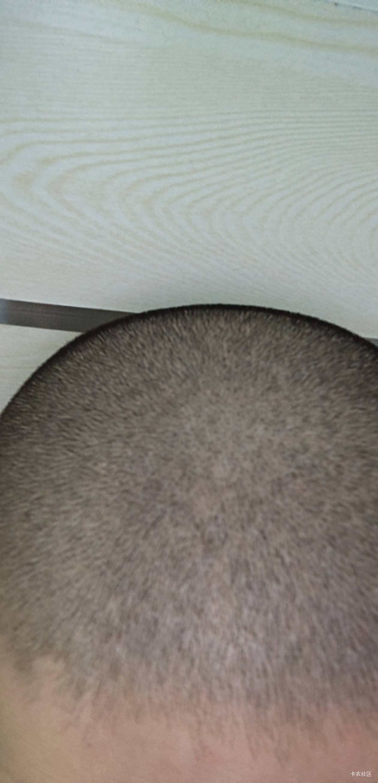 我想去剃个光头，有没有老哥支持我的。
93 / 作者:倚门望行人。 / 