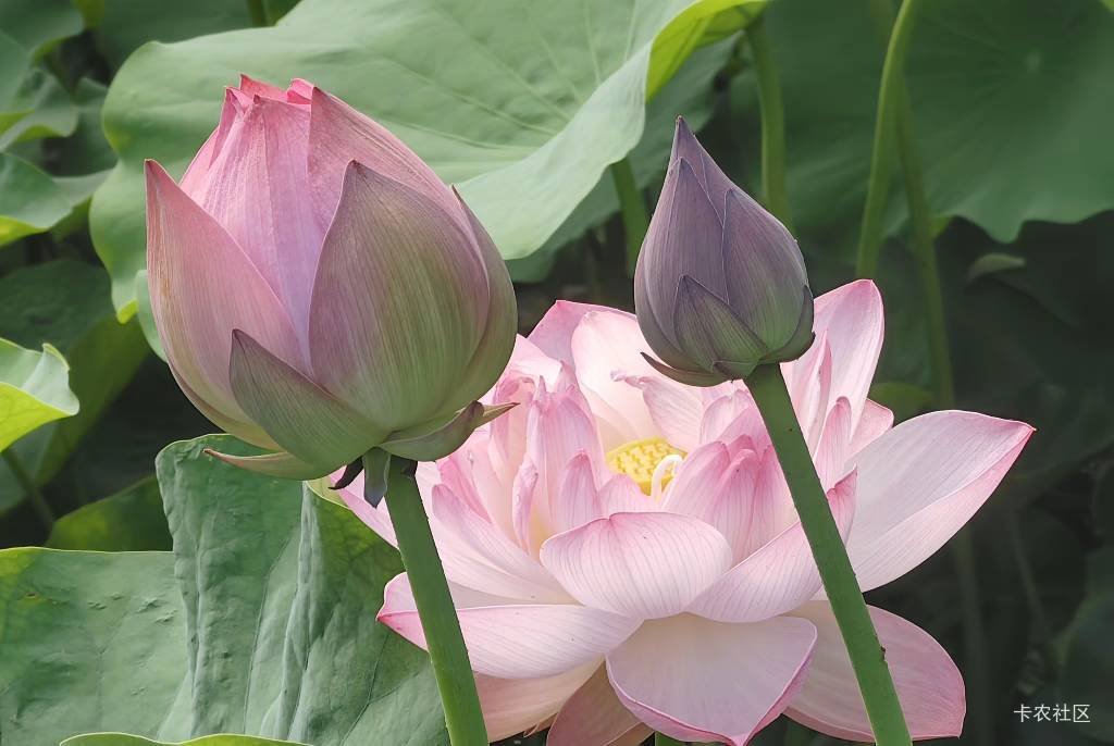 毛的时代结束了，老哥们怎么办？只有天知道了

63 / 作者:呔.吃我一锤 / 