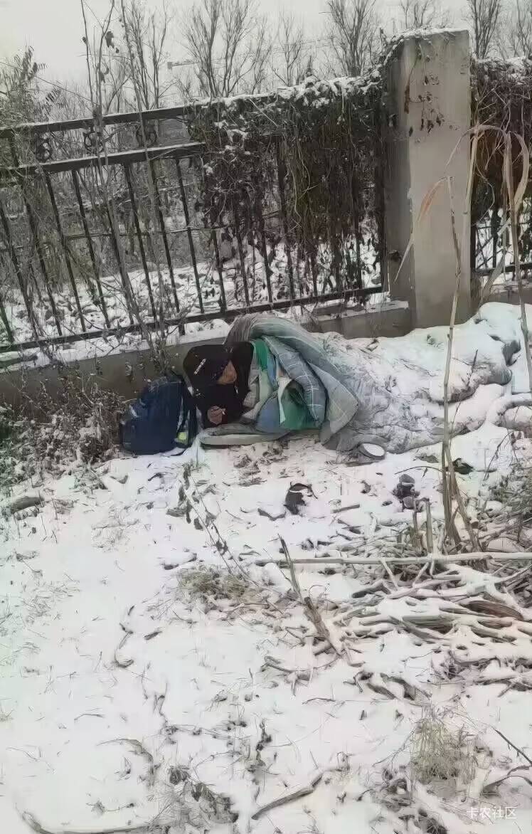 老沫，天又亮了，躺在寒风凛冽的雪地里，

想想这些年来走过的路，情不自禁的落下泪。60 / 作者:广鸡周某人 / 