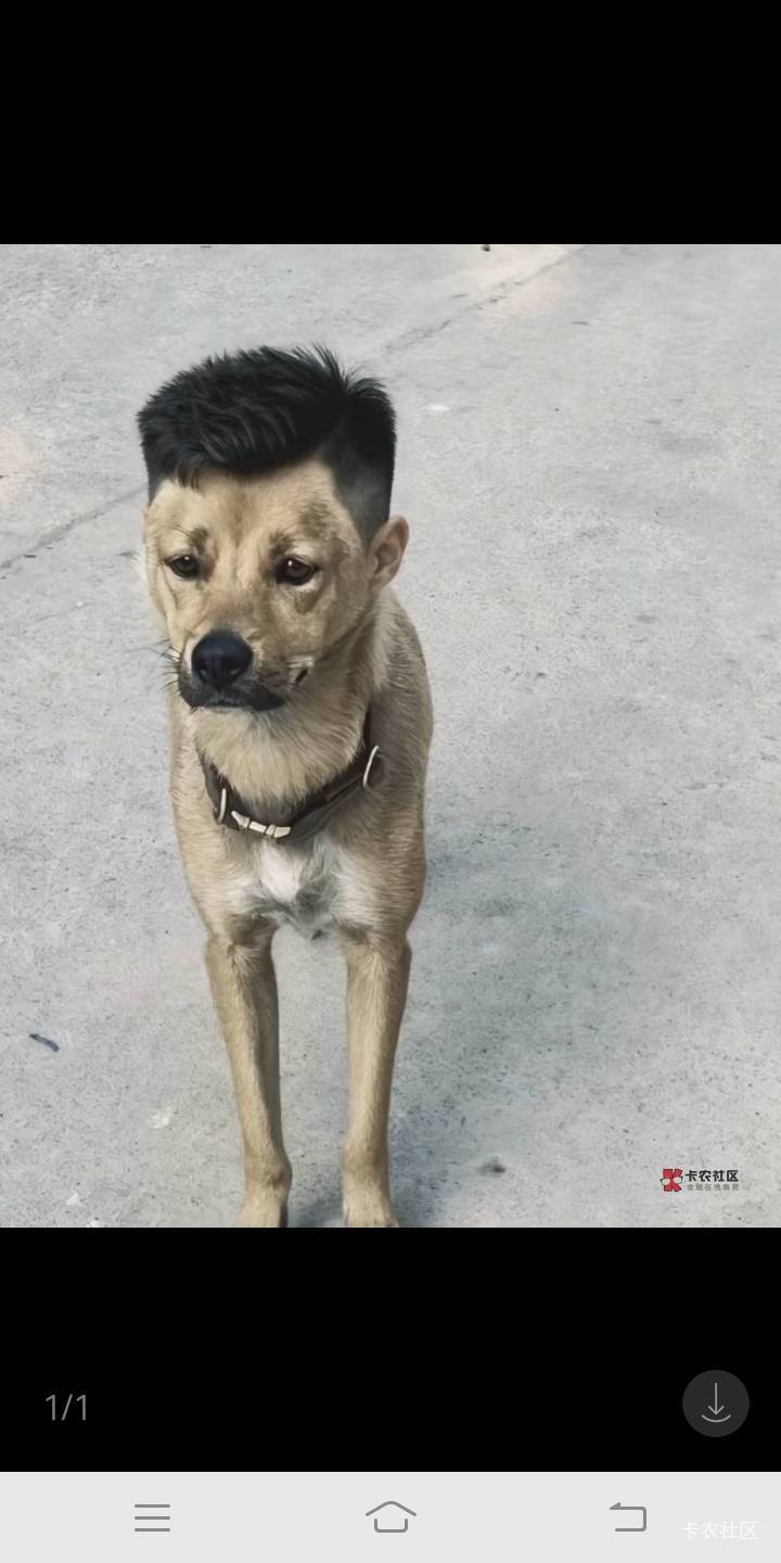 老哥们被人卖还要帮数钱 看哭了  

31 / 作者:饿得浑身发抖哦 / 