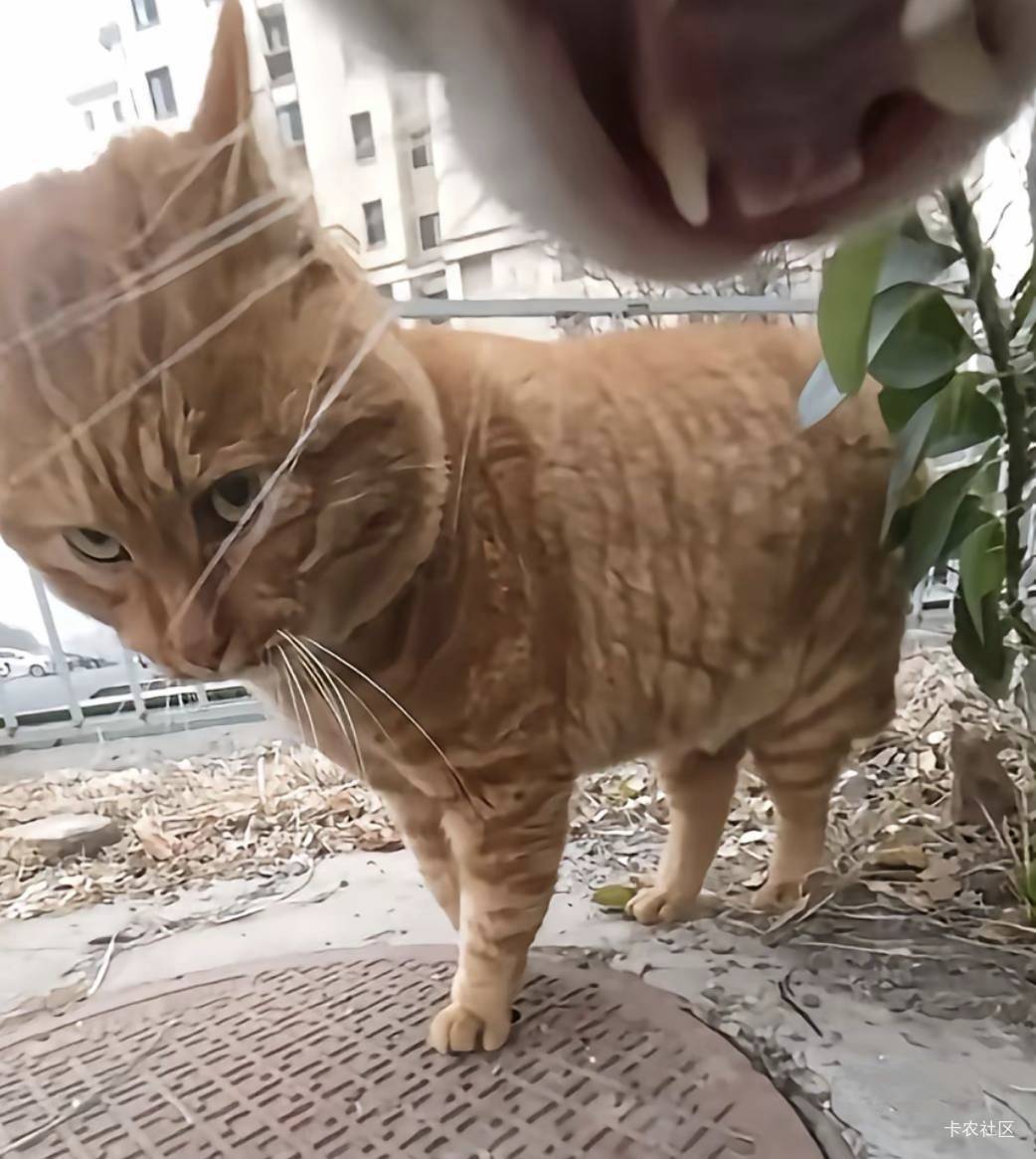 武汉电影票现在–8随便接，毕业了22×16=352

13 / 作者:卡农无敌帅 / 