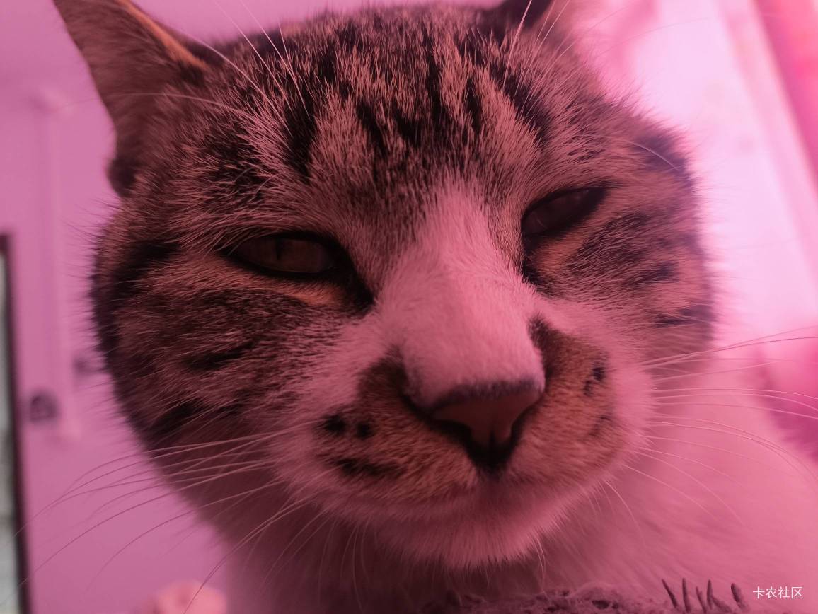 666


37 / 作者:卡农无敌帅 / 