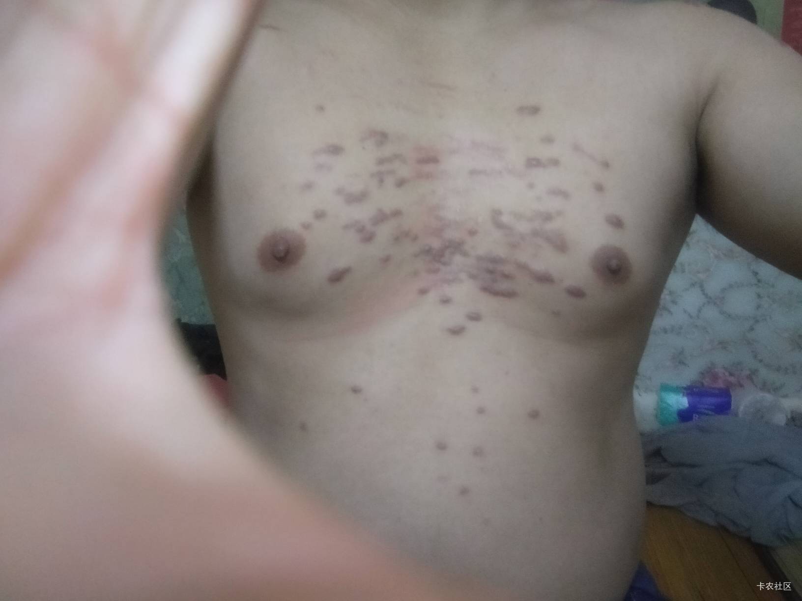 老哥们，我性感不

11 / 作者:卡农第一yy仔 / 