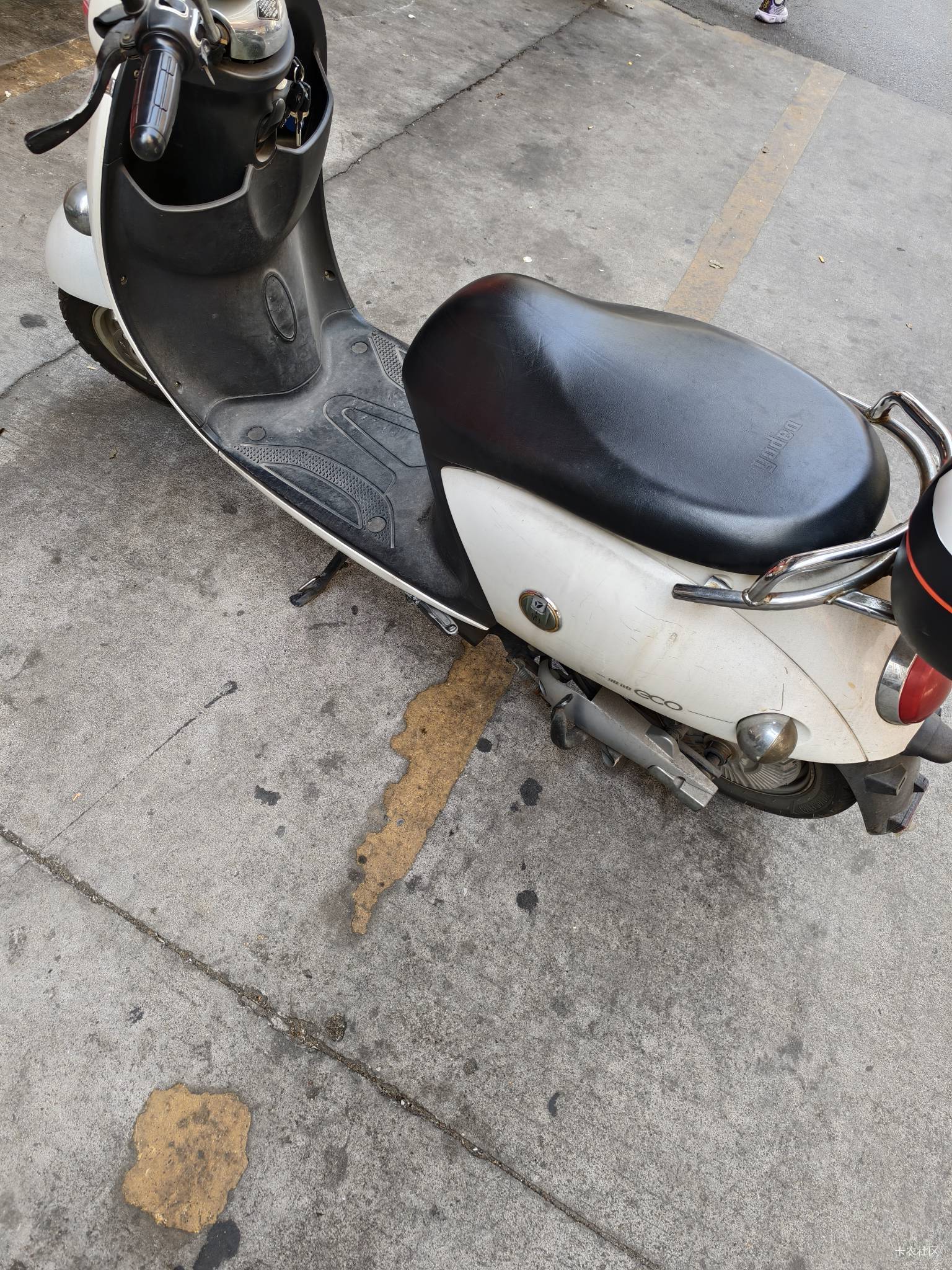 长安有没有老哥要的卖了当车费回家了

17 / 作者:不会吹牛x / 