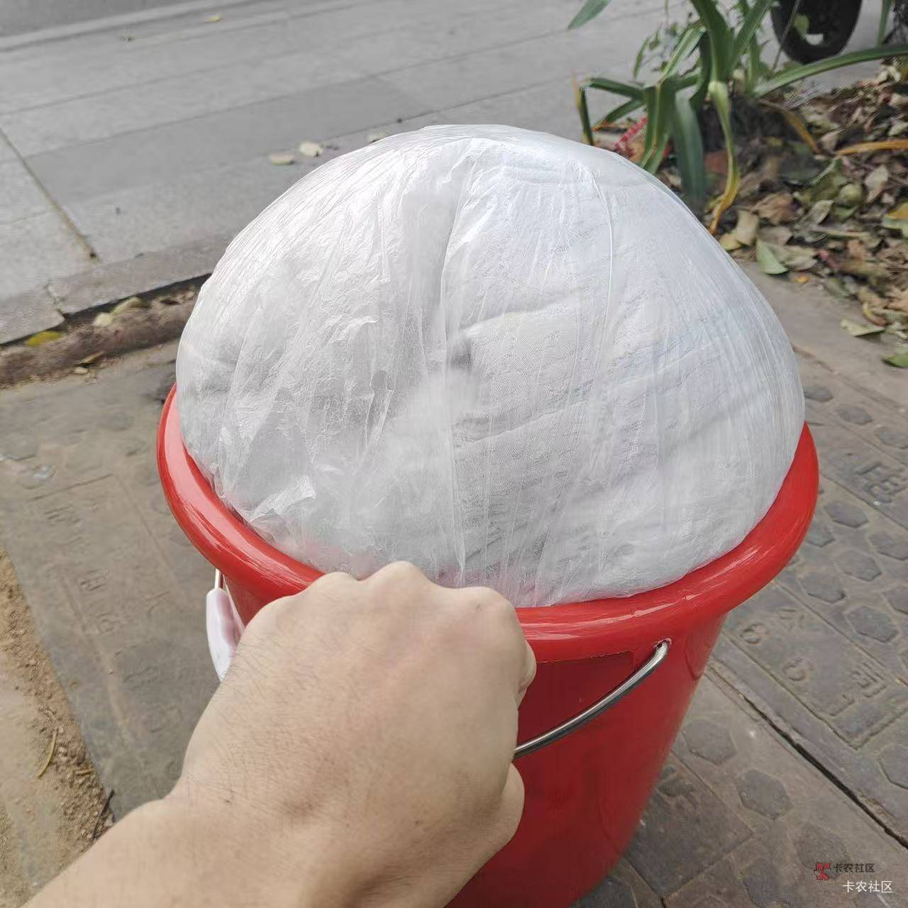 挂壁了！瘫痪在路边了。东莞小风老冻人了。老哥们好迷茫呀。


76 / 作者:羊肉汤 / 