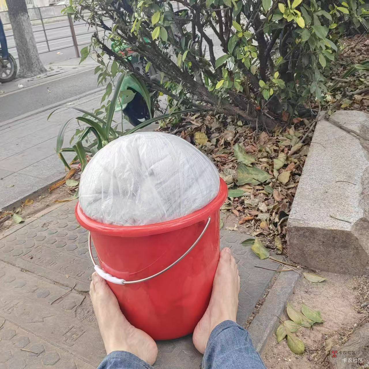 挂壁了！瘫痪在路边了。东莞小风老冻人了。老哥们好迷茫呀。


29 / 作者:羊肉汤 / 