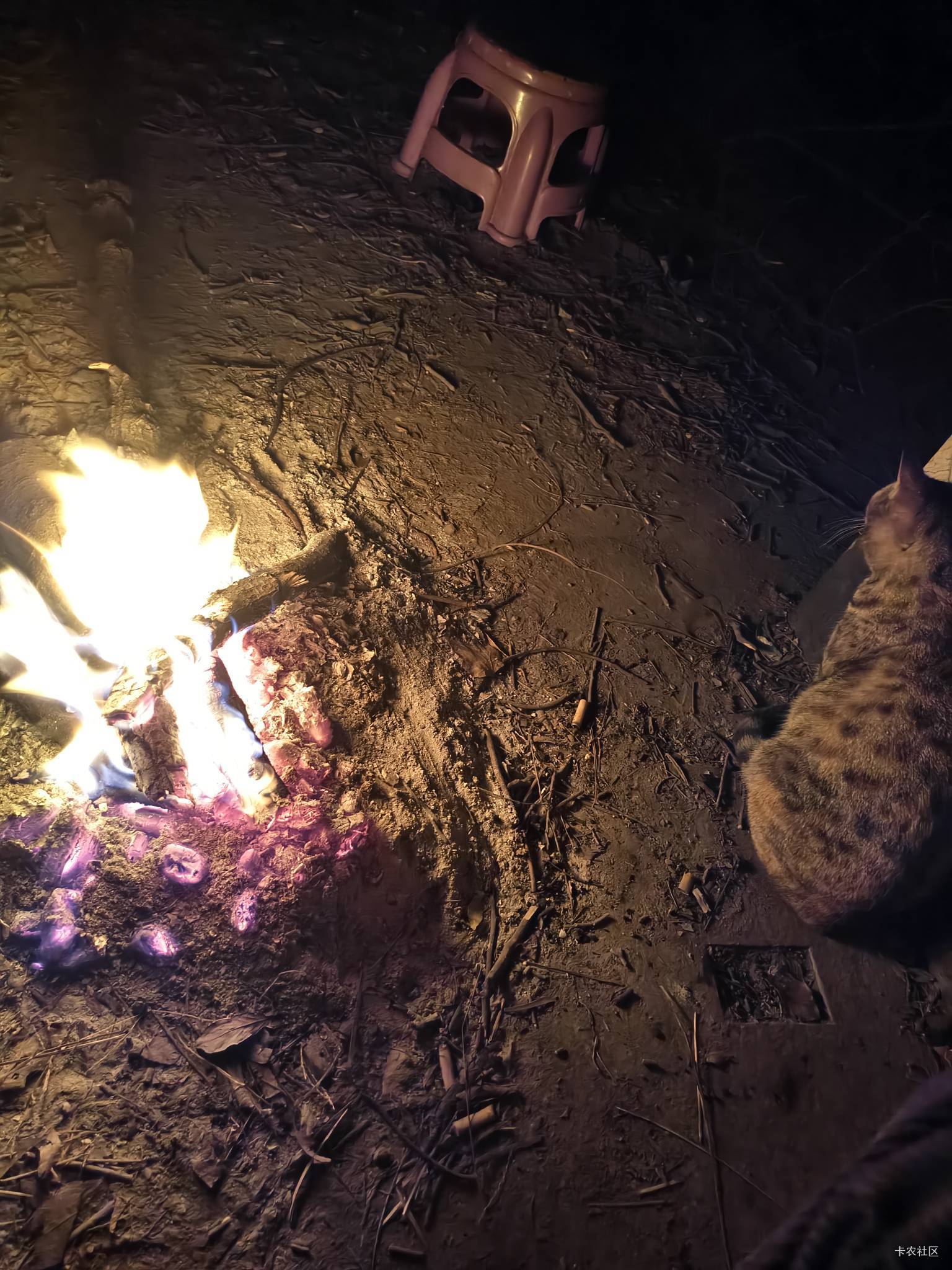好冷啊兄弟们，你们不烤火吗

76 / 作者:芜湖啊 / 