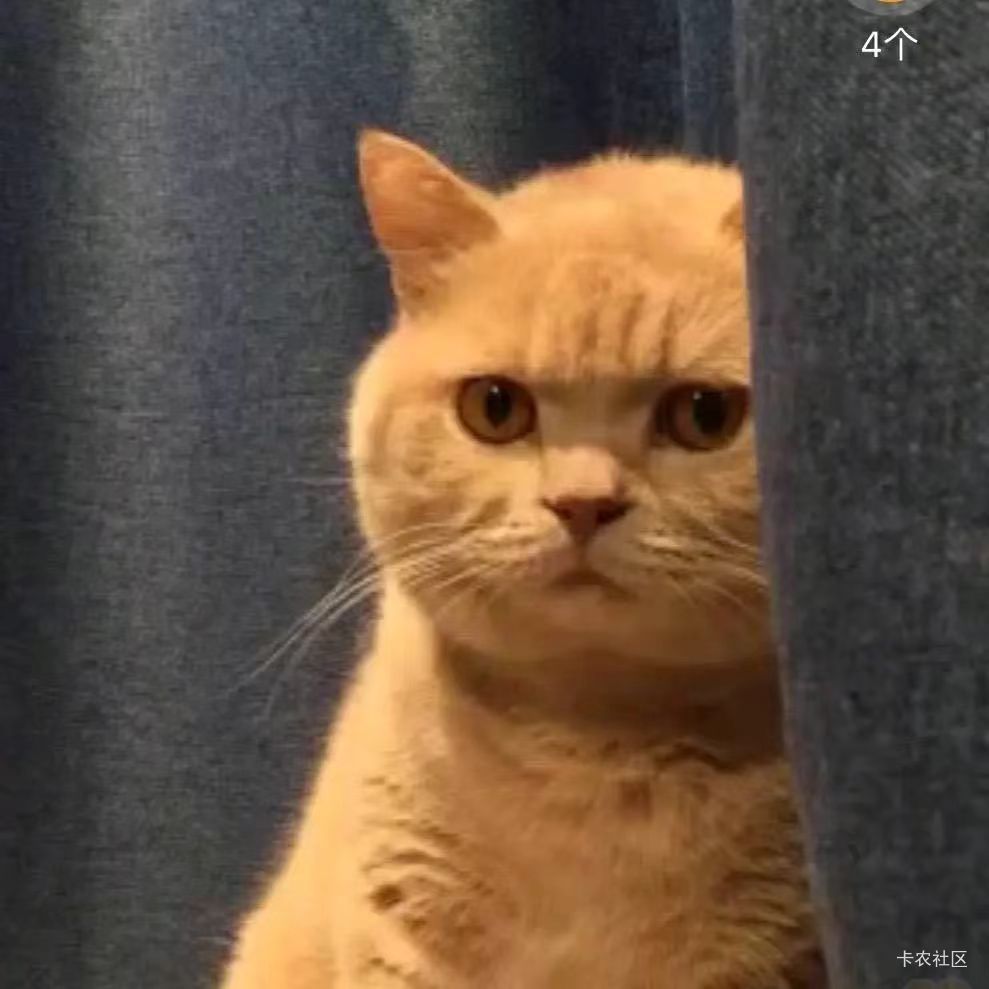 隔壁邻居有一个男人，晚上一直在那里咳嗽咳咳咳，咳一声又咳一声，好像喘气喘不过来一21 / 作者:斗篷 / 